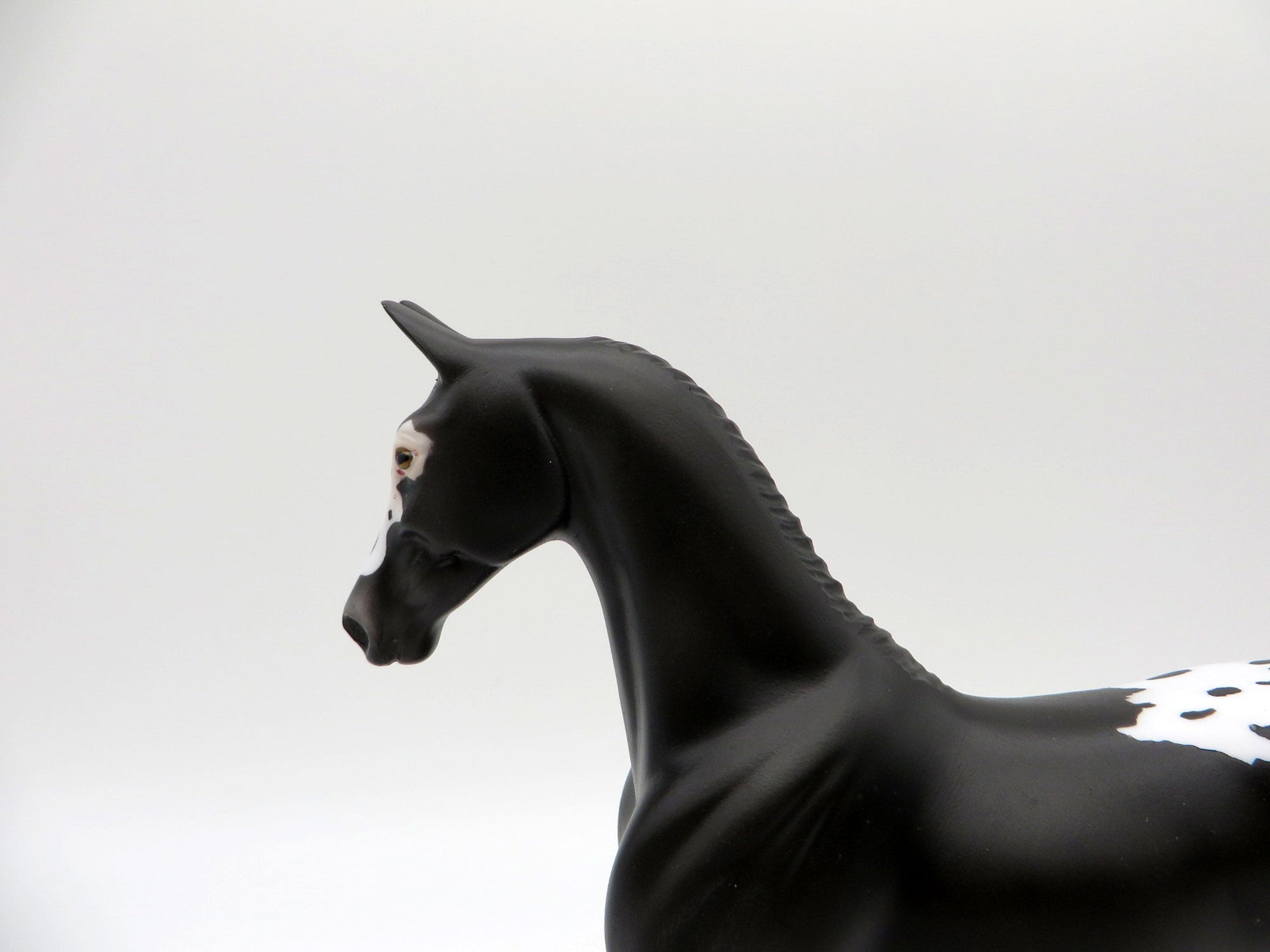 Yeats-OOAK Black Appaloosa Saddlebred Pebbles Painted By Ellen Robbins EQ21