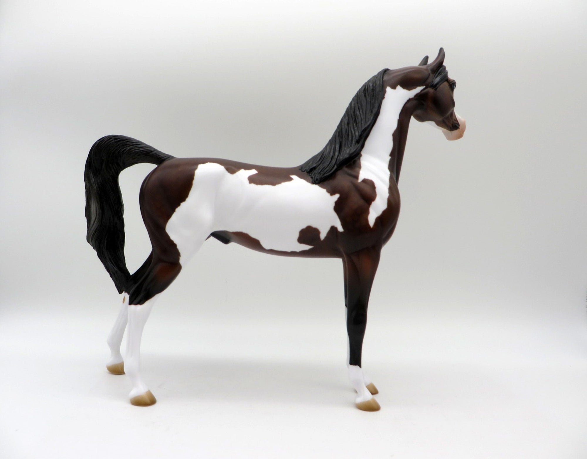 Zin Fadel-OOAK Dapple Bay Pinto Painted by Audrey Dixon 5/21/21