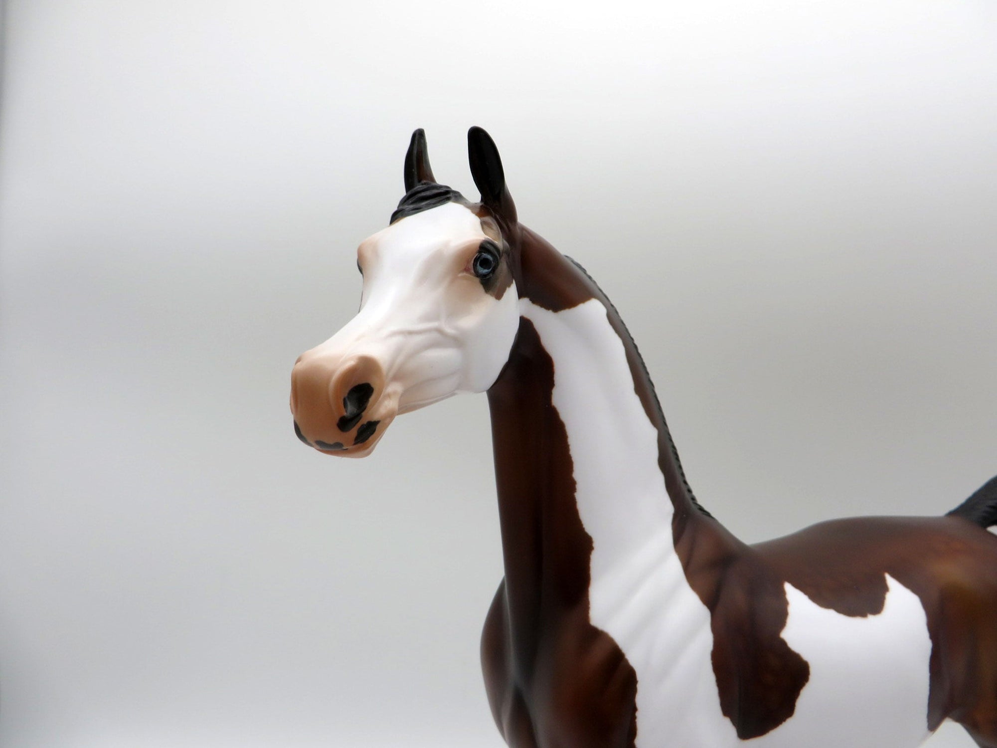 Zin Fadel-OOAK Dapple Bay Pinto Painted by Audrey Dixon 5/21/21