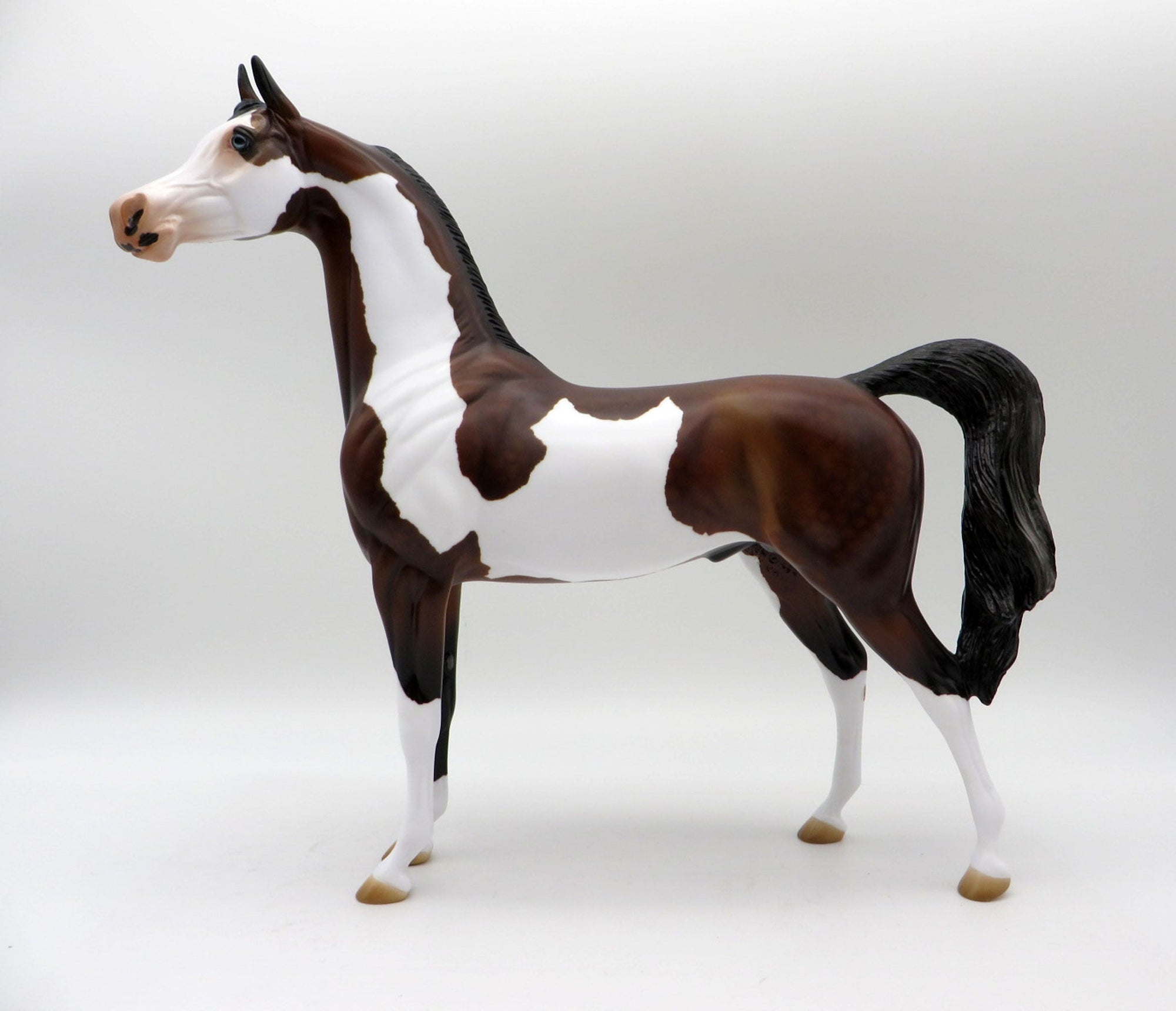 Zin Fadel-OOAK Dapple Bay Pinto Painted by Audrey Dixon 5/21/21