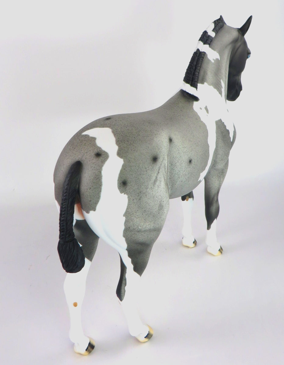 BLUE CHRISTMAS - LE-15 BLUE ROAN PINTO ANDALUSIAN BY DAWN QUICK WHS19