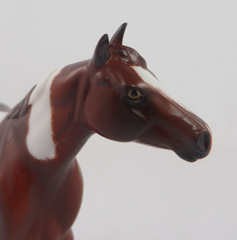 AIN'T MISBEHAVIN-OOAK BAY PINTO STOCK HORSE CHIP 1/8/20