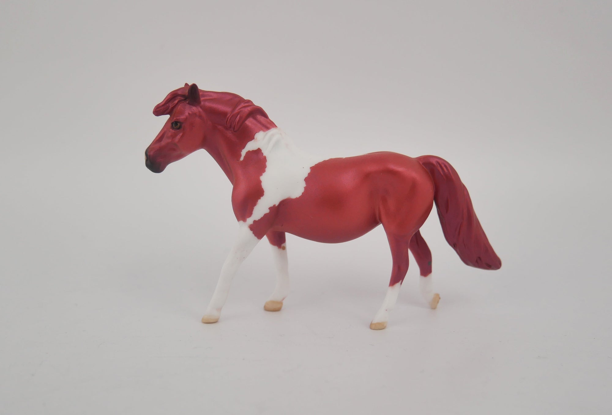 EQUILOCITY 2020 GRAB BAGS