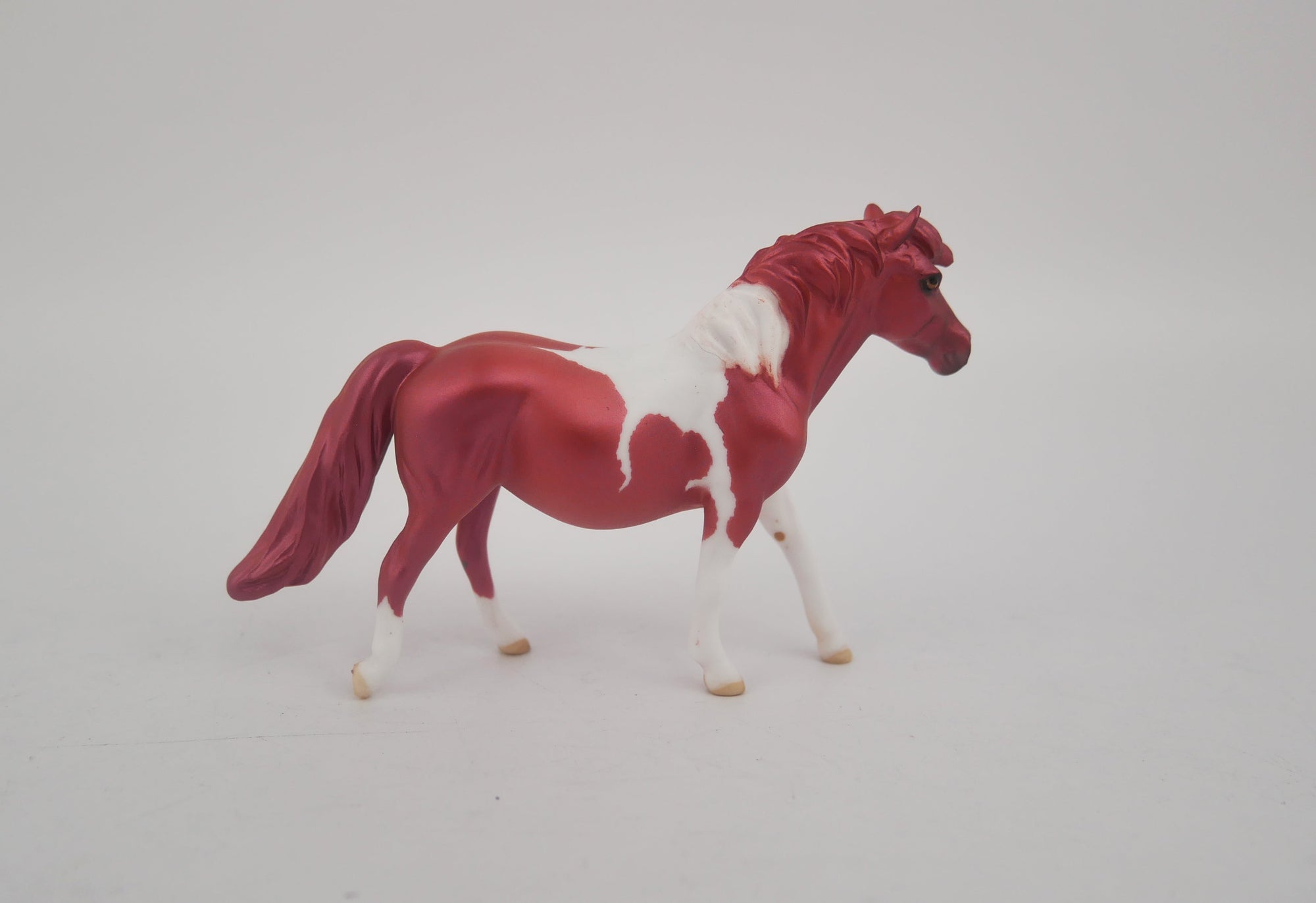 EQUILOCITY 2020 GRAB BAGS