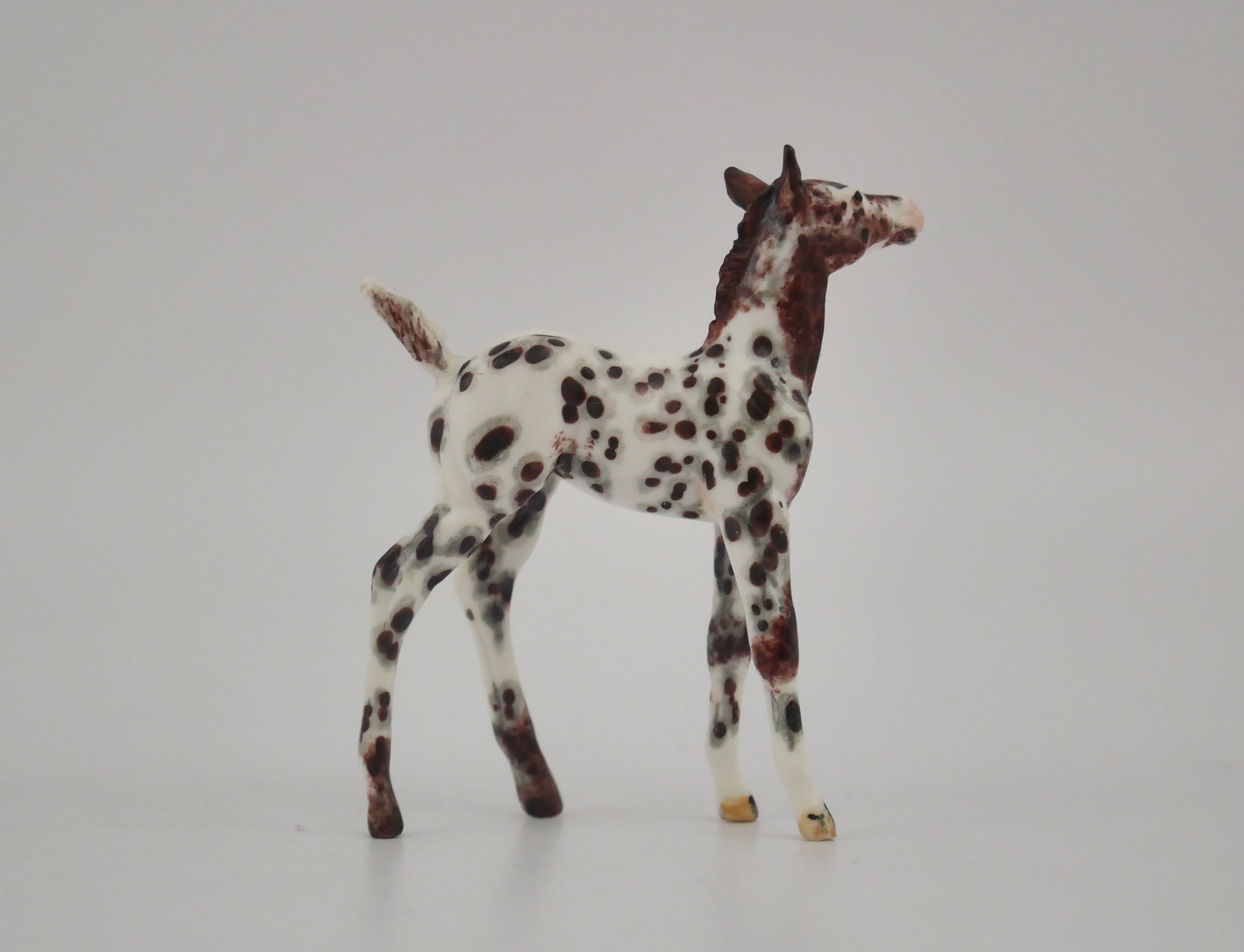 AMBISHADOW -OOAK CHESTNUT LEOPARD APPALOOSA FOAL BY ANDREA