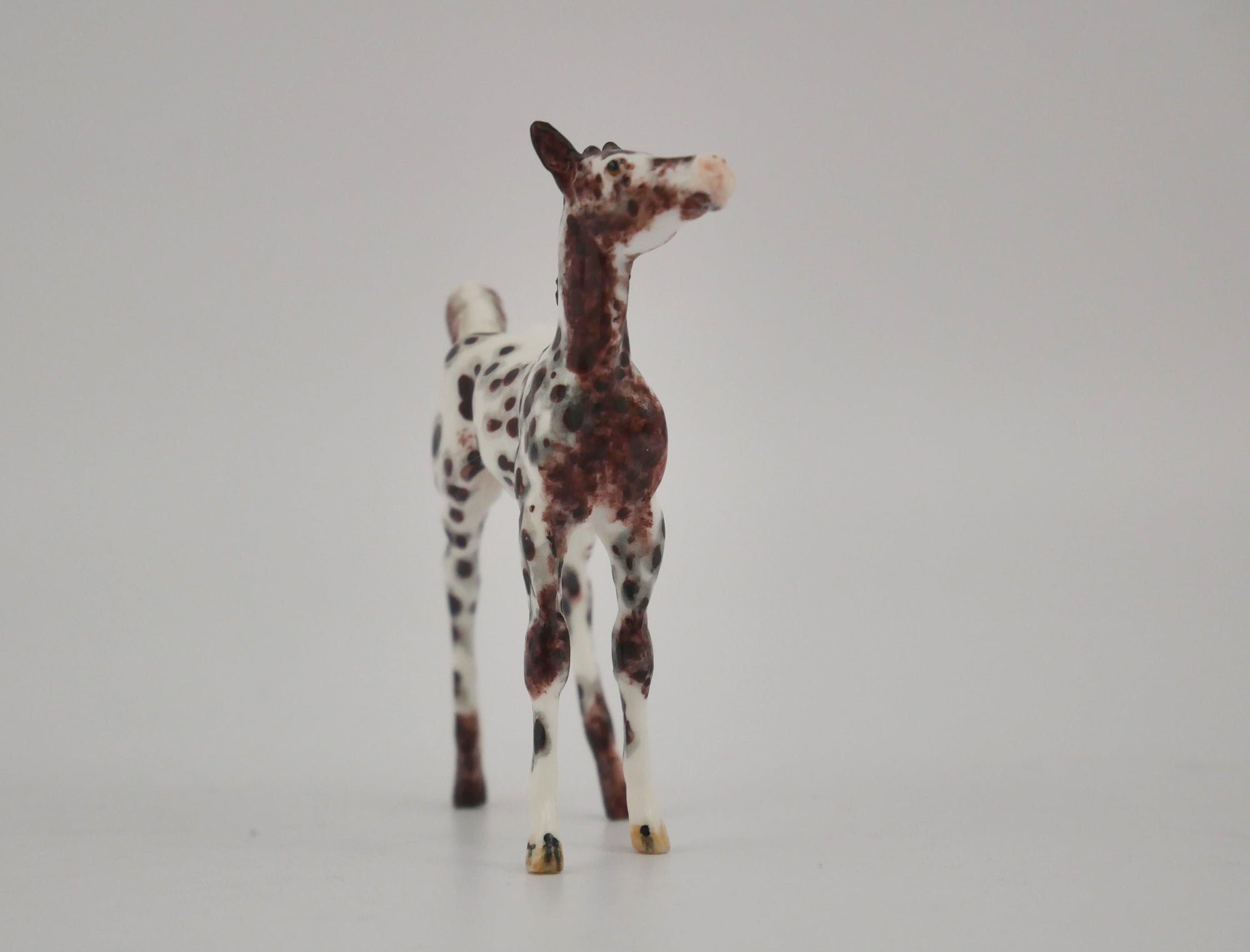 AMBISHADOW -OOAK CHESTNUT LEOPARD APPALOOSA FOAL BY ANDREA