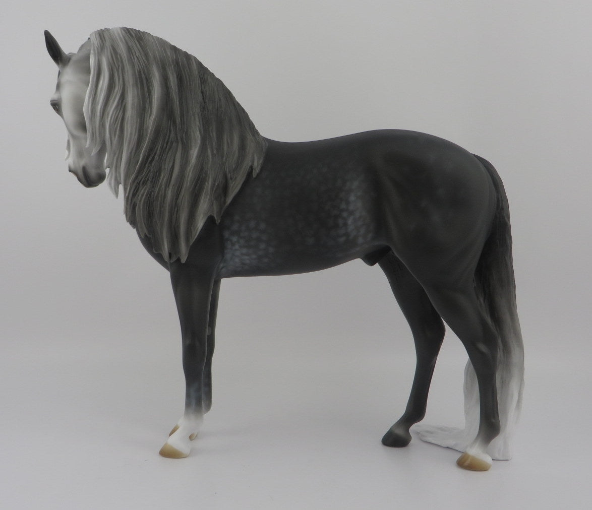 Ambrose-OOAK Dapple Grey Andalusian EQ 2020