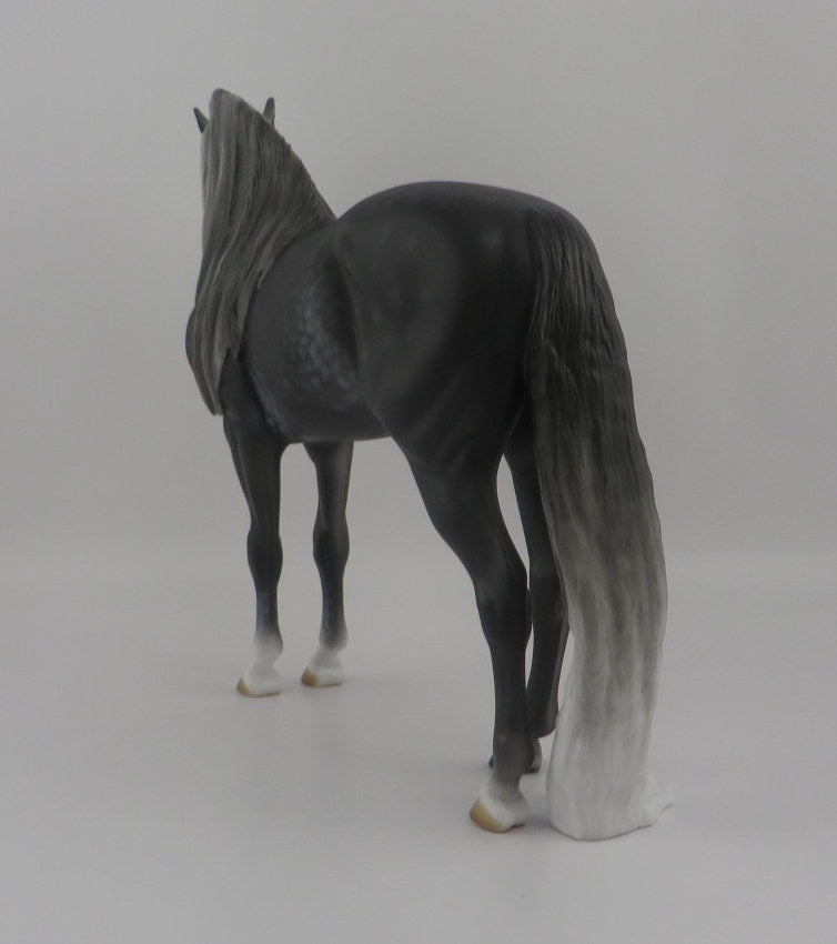 Ambrose-OOAK Dapple Grey Andalusian EQ 2020