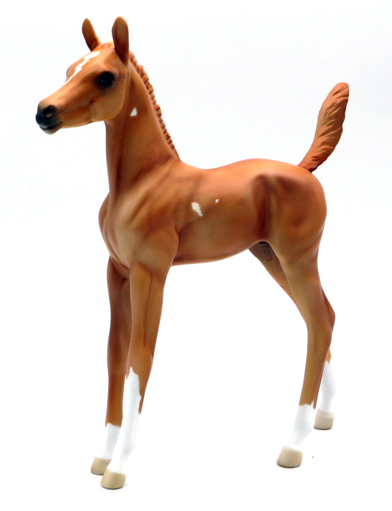 Apple Pie - OOAK Chestnut Foal Holiday Sale 2021