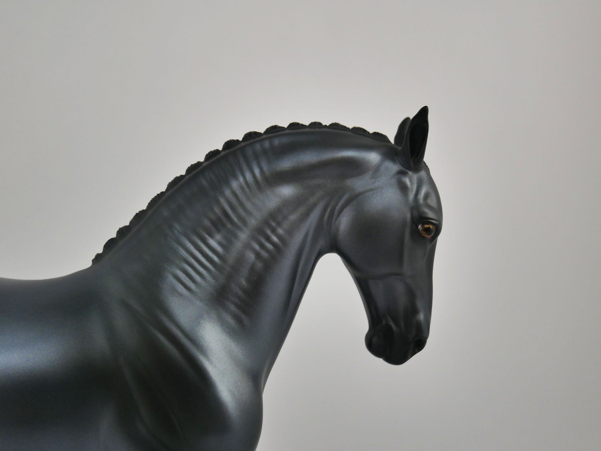 Arachnophobia-LE-15 Decorator Andalusian MM 2020