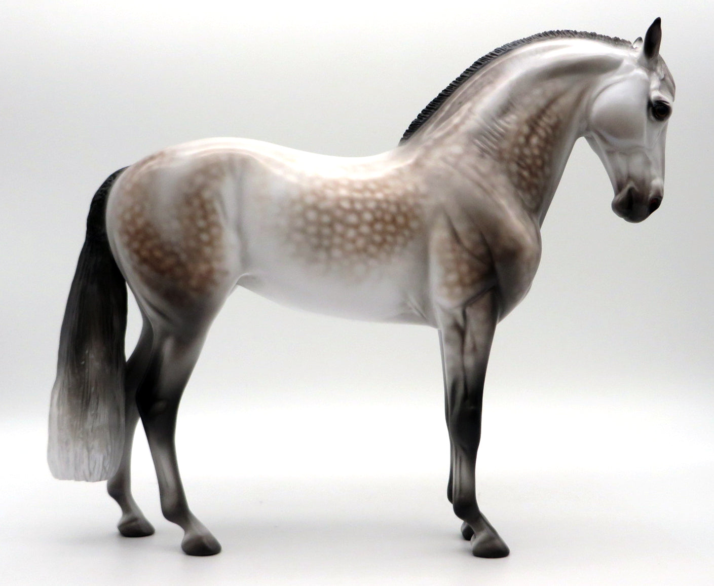 Arcadia-OOAK Dapple Grey Andalusian By Caroline Boydston 10/4/21
