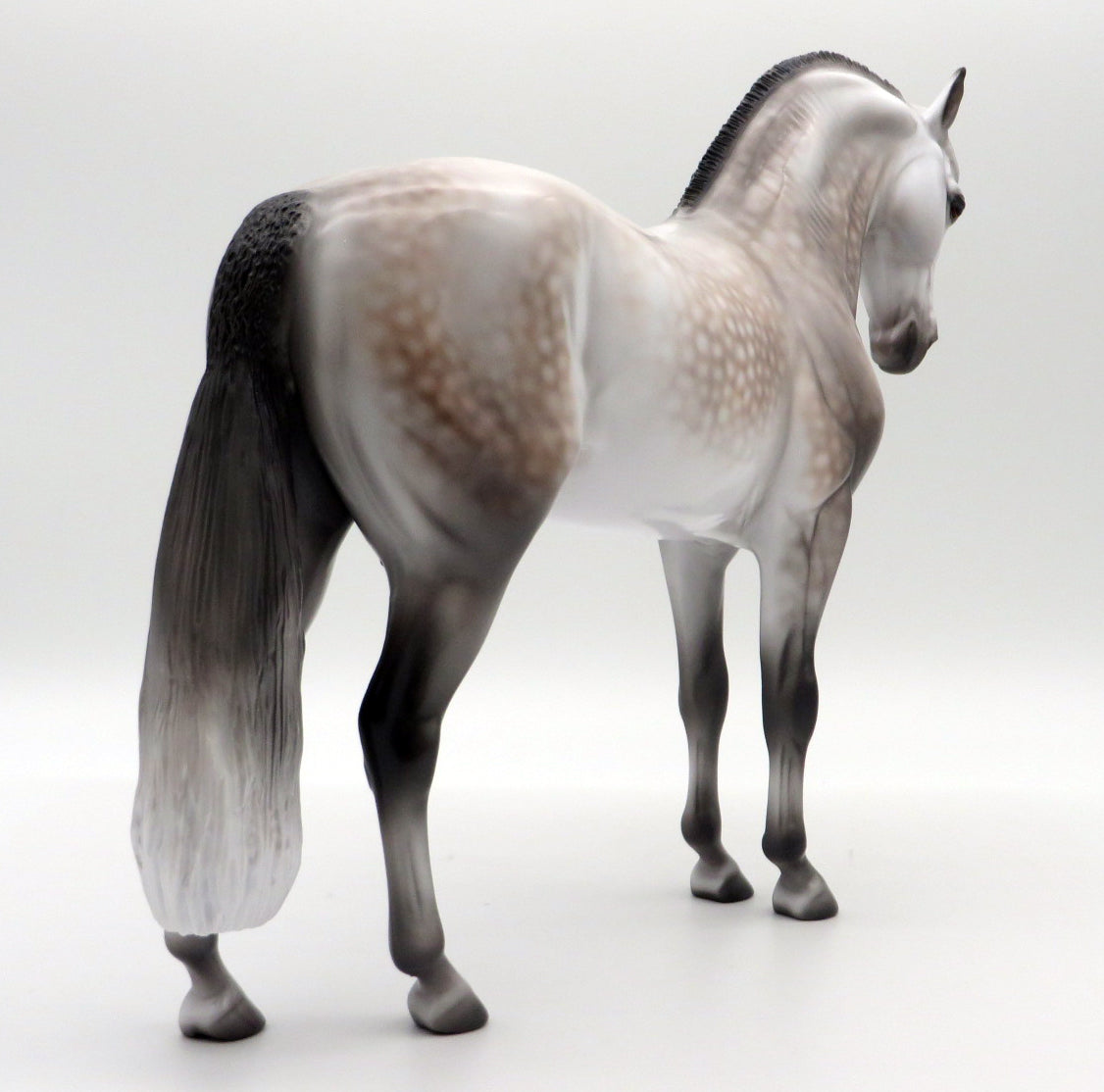 Arcadia-OOAK Dapple Grey Andalusian By Caroline Boydston 10/4/21