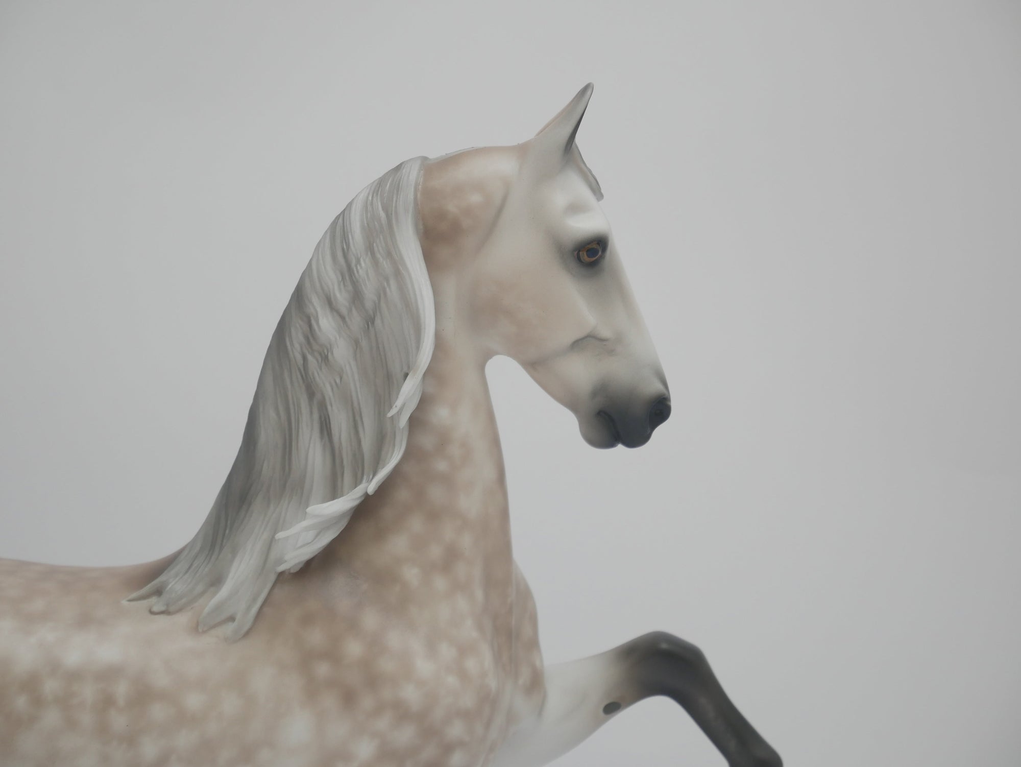 ASHTEE-OOAK STAR DAPPLE SADDLEBRED BY SHERYL LEISURE 3/19/20