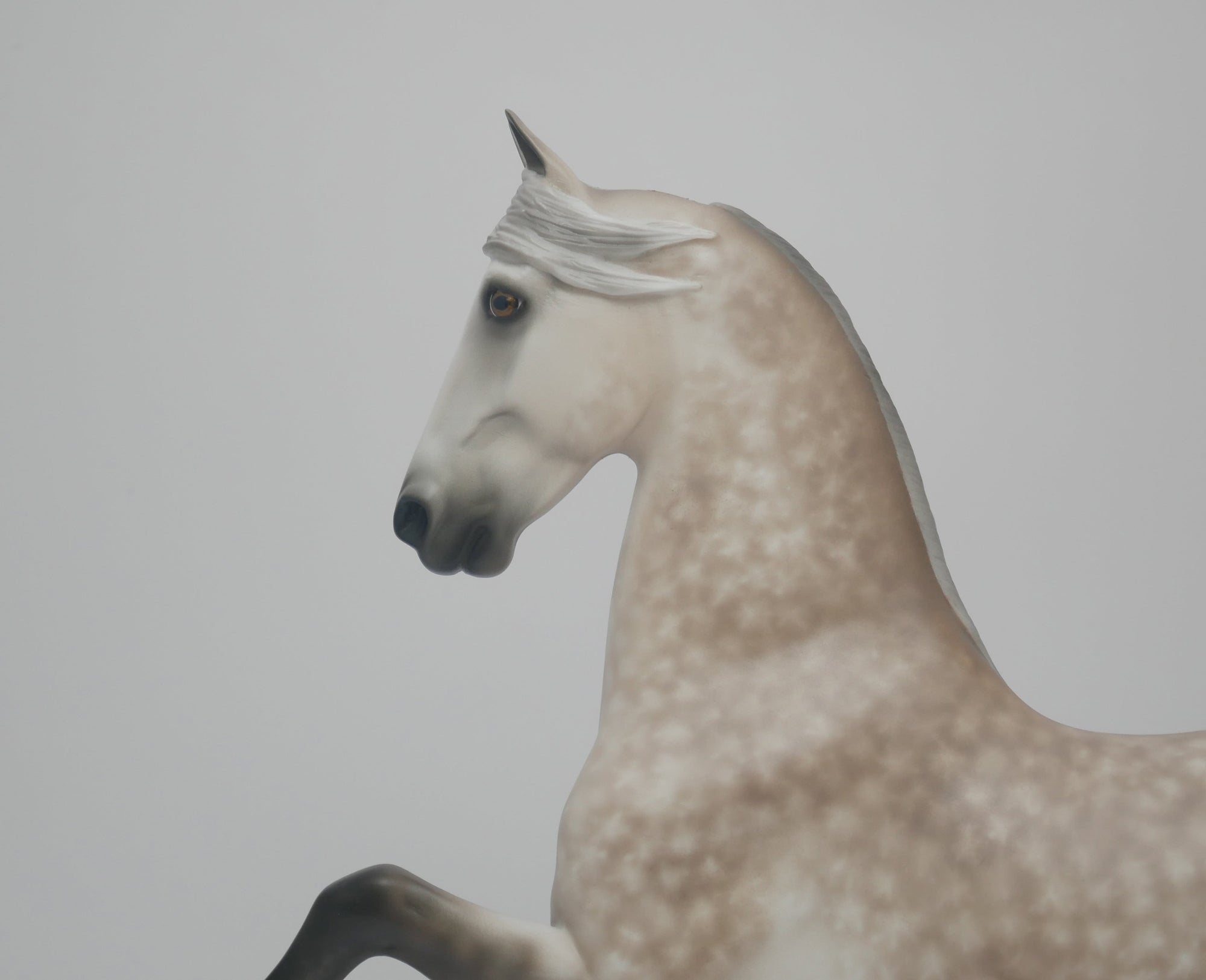 ASHTEE-OOAK STAR DAPPLE SADDLEBRED BY SHERYL LEISURE 3/19/20