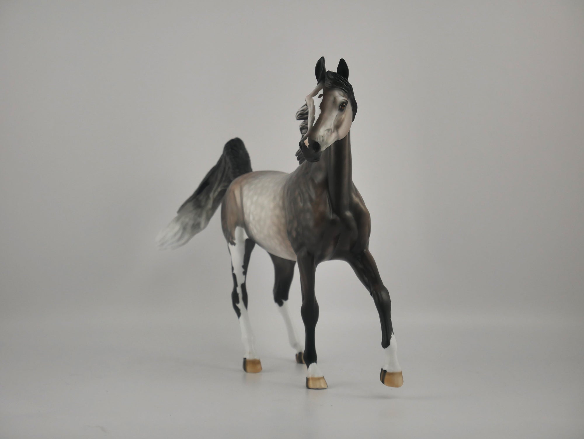 ATTITUDE IN GREY-OOAK DAPPLE GREY ARABIAN MARE BY DAWN QUICK