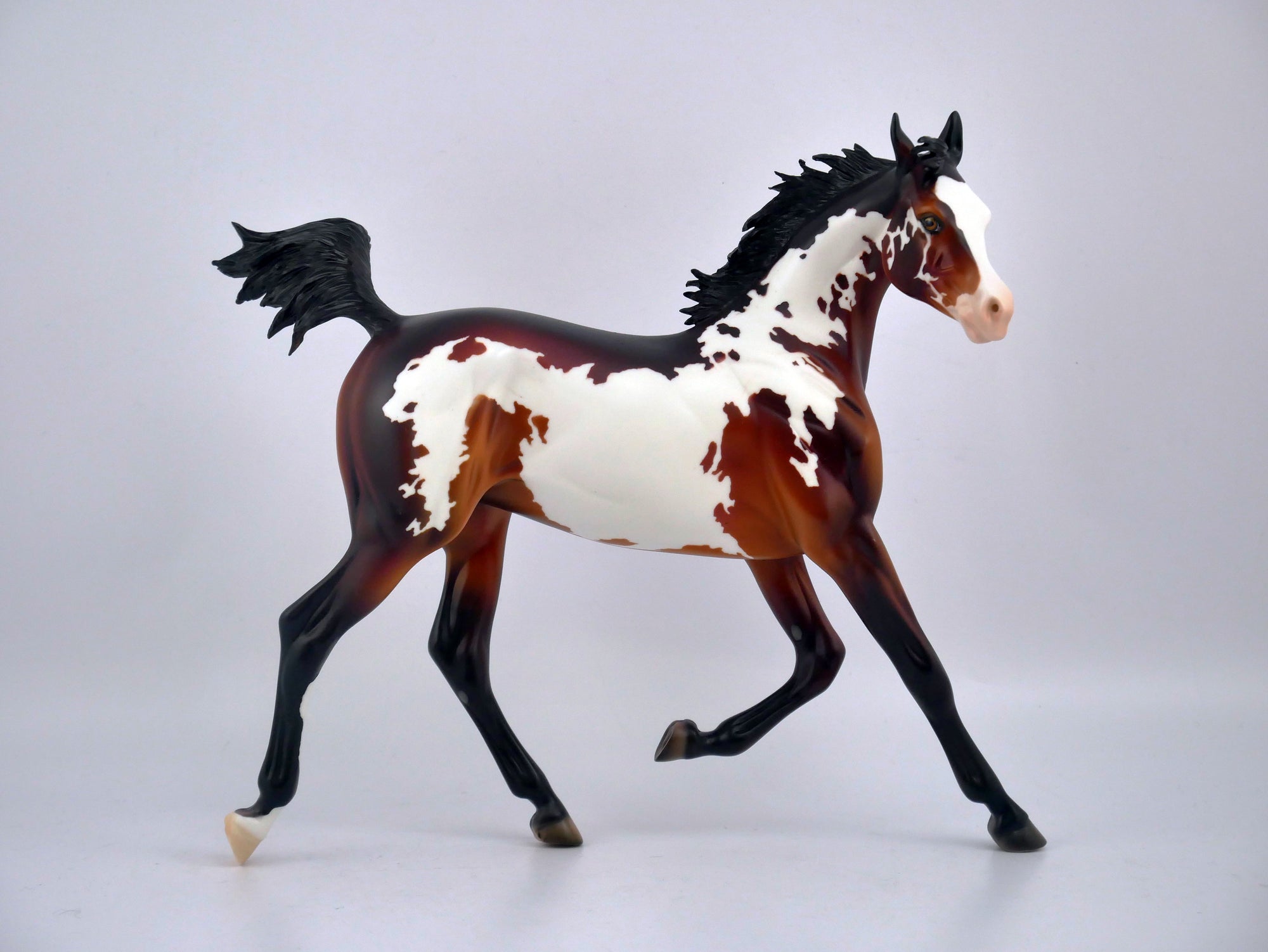 AUBURN SPLASH-OOAK CHESTNUT PINTO BY DAWN QUICK EQ 2020