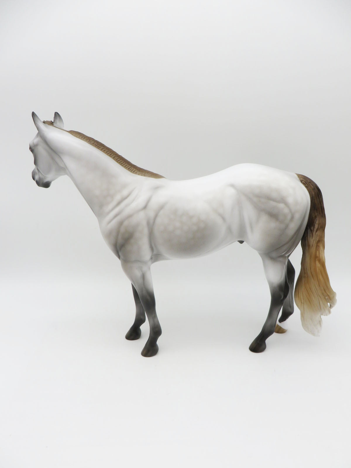 Autumn Harvest Glow - OOAK - Fleabitten Dapple Grey Ideal Stock Horse Painted By Jess Hamill - MM22