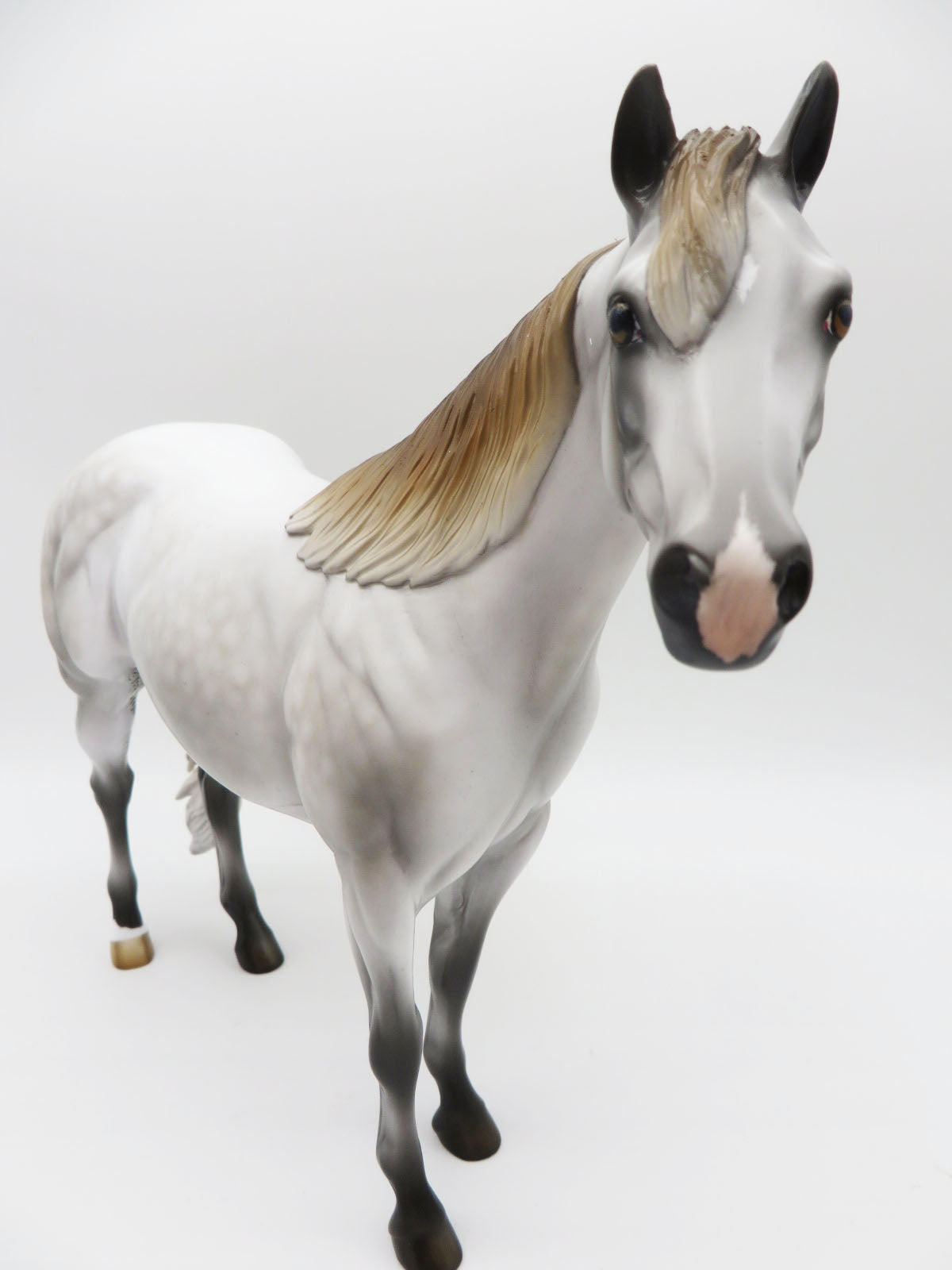 Autumn Harvest Glow - OOAK - Fleabitten Dapple Grey Ideal Stock Horse Painted By Jess Hamill - MM22