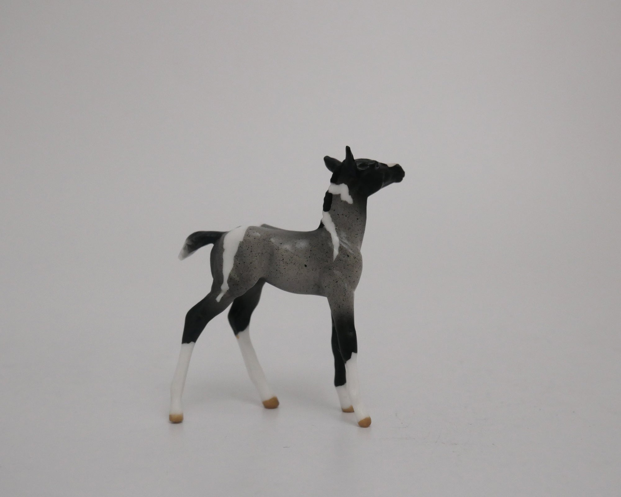 BABY BLUE-LE-6 BLUE ROAN PAINT FOAL CHIP MODEL HORSE 6/30/20