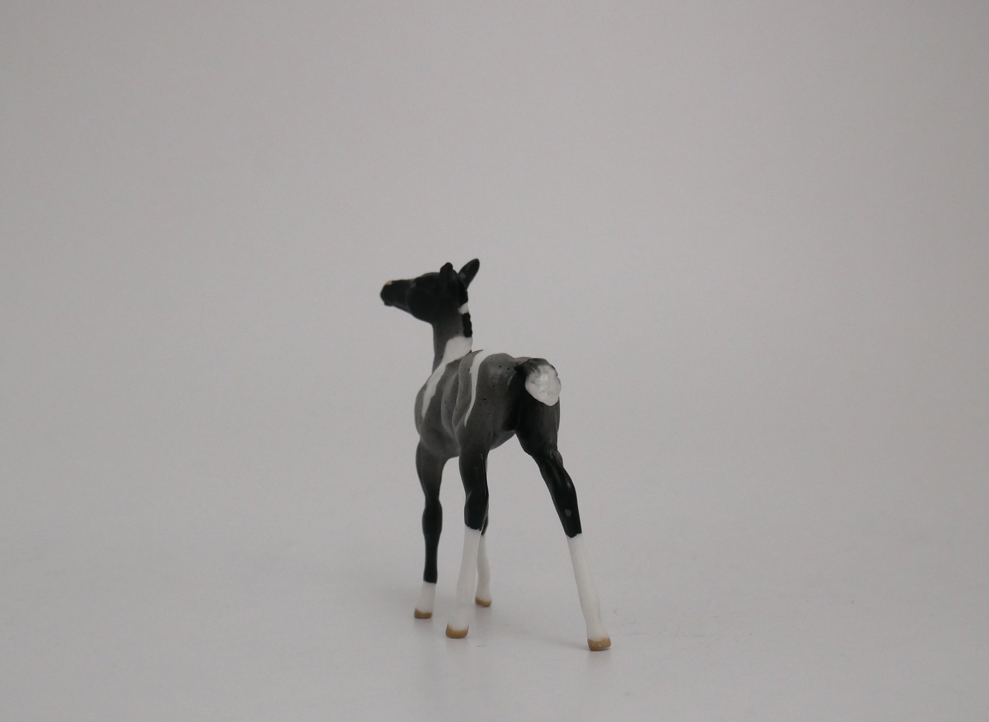 BABY BLUE-LE-6 BLUE ROAN PAINT FOAL CHIP MODEL HORSE 6/30/20