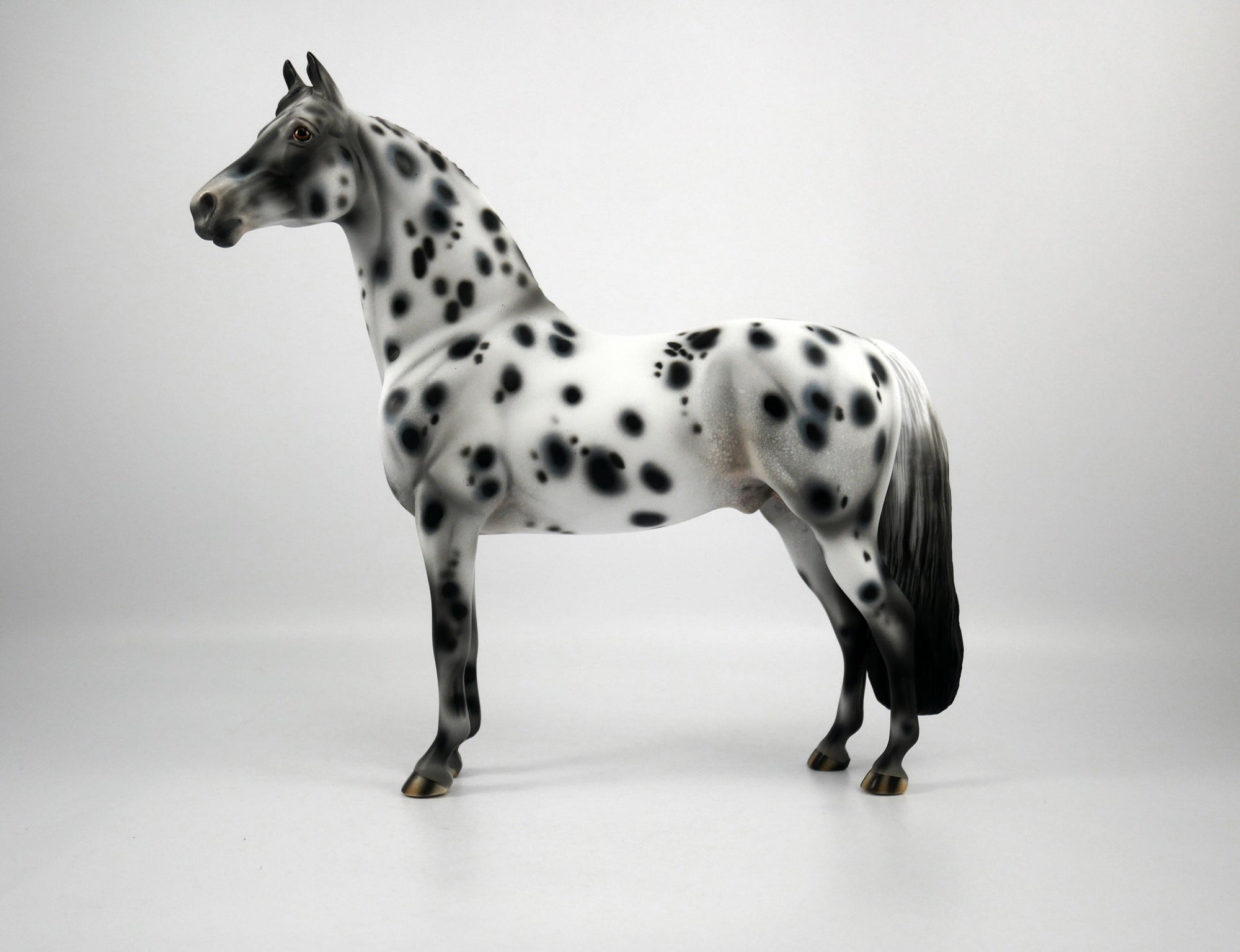 Bad Company-OOAK Appaloosa Morgan 1/8/21