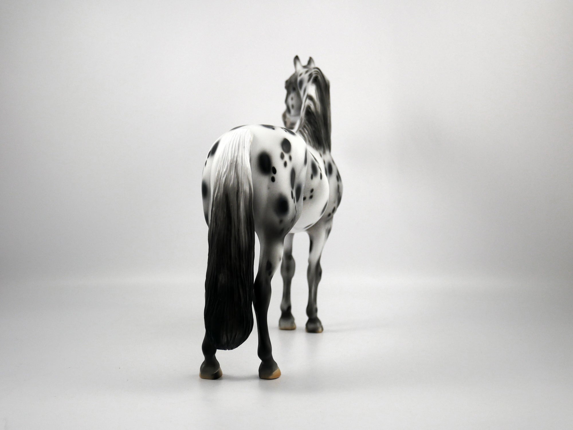 Bad Company-OOAK Appaloosa Morgan 1/8/21