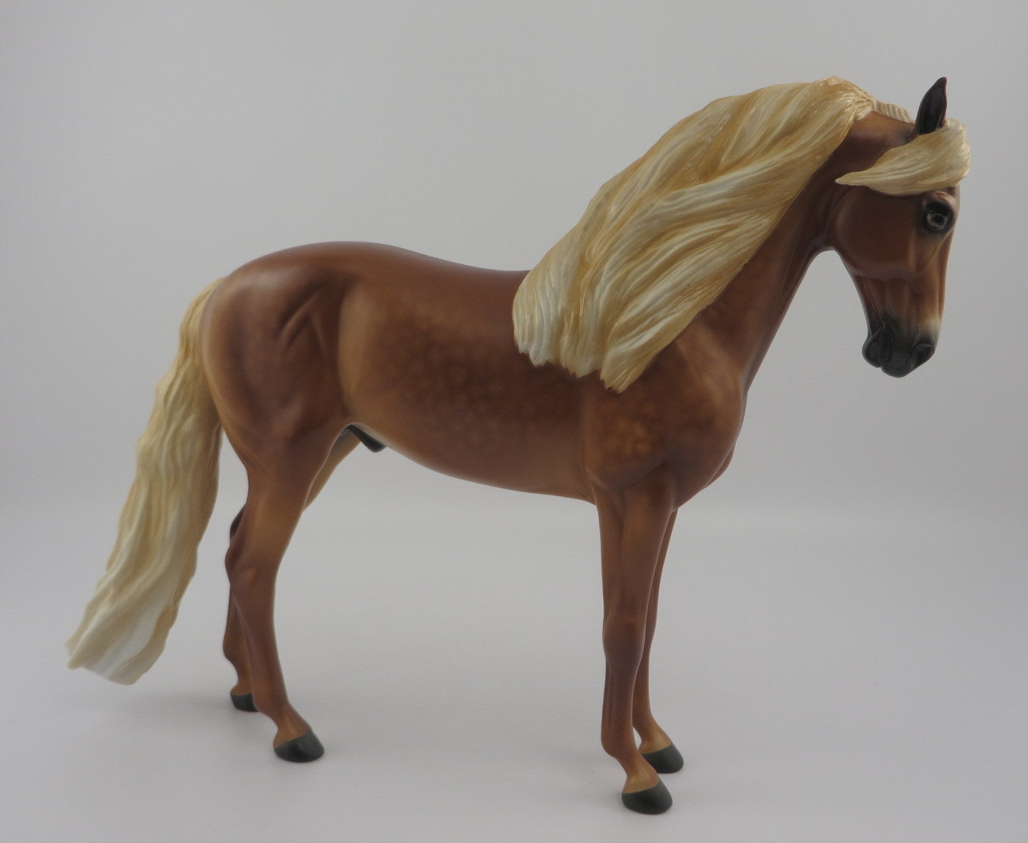 BANKSY-OOAK DAPPLE CHESTNUT ANDALSIAN BY SHERYL LEISURE EQ 2020