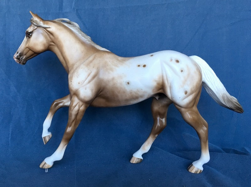 BE COLORFUL-OOAK BAY APPALOOSA FOUNDATION QUARTER HORSE 4/24/20