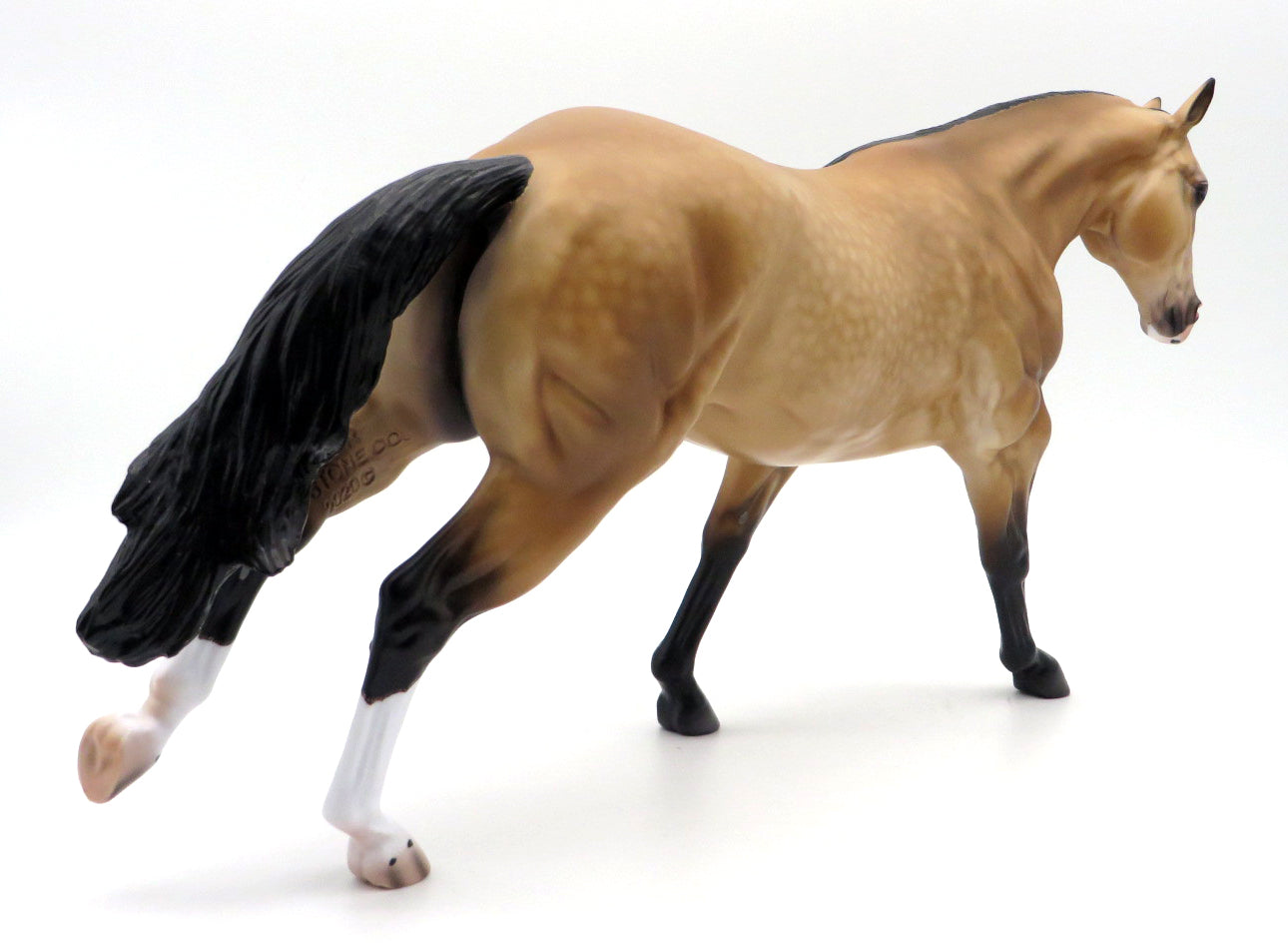 Belmont-OOAK Buckskin Running Stock Horse by Caroline Boydston 10/4/21