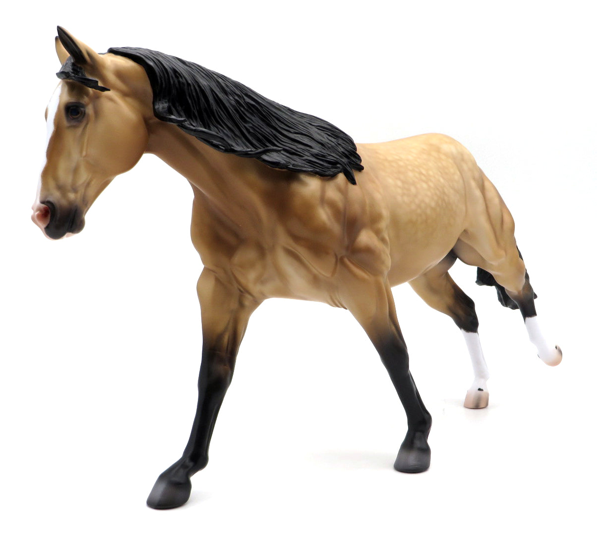 Belmont-OOAK Buckskin Running Stock Horse by Caroline Boydston 10/4/21