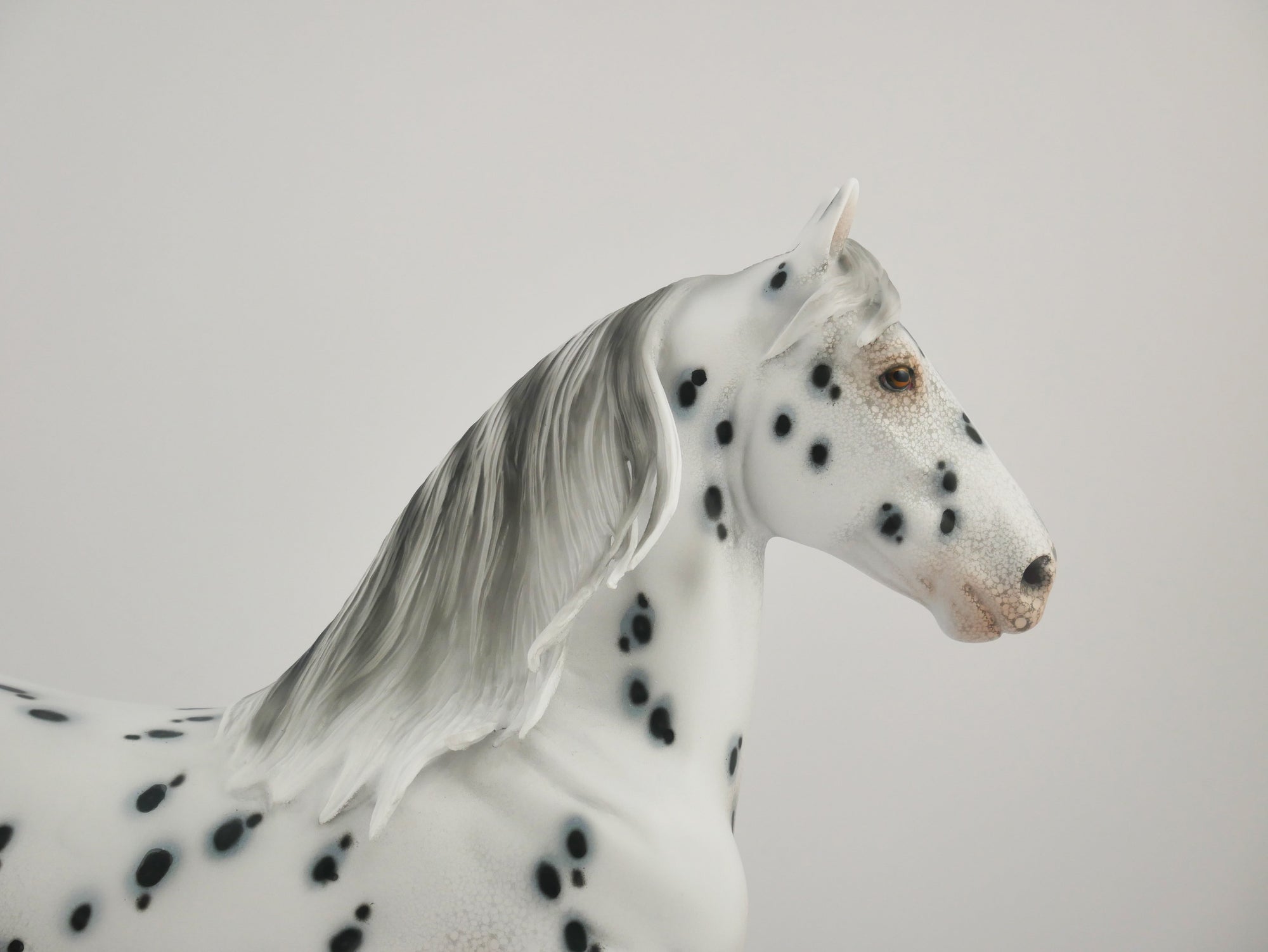 BISTRE-OOAK LOUD APPALOOSA TROTTING DRAFT BY DAWN QUICK