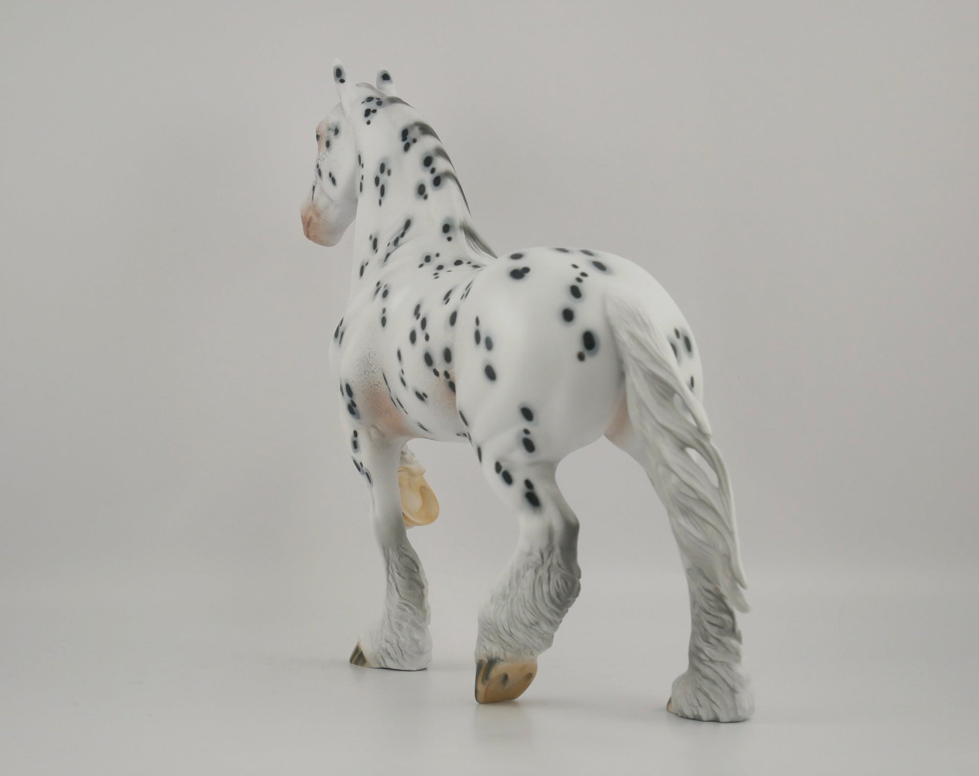 BISTRE-OOAK LOUD APPALOOSA TROTTING DRAFT BY DAWN QUICK