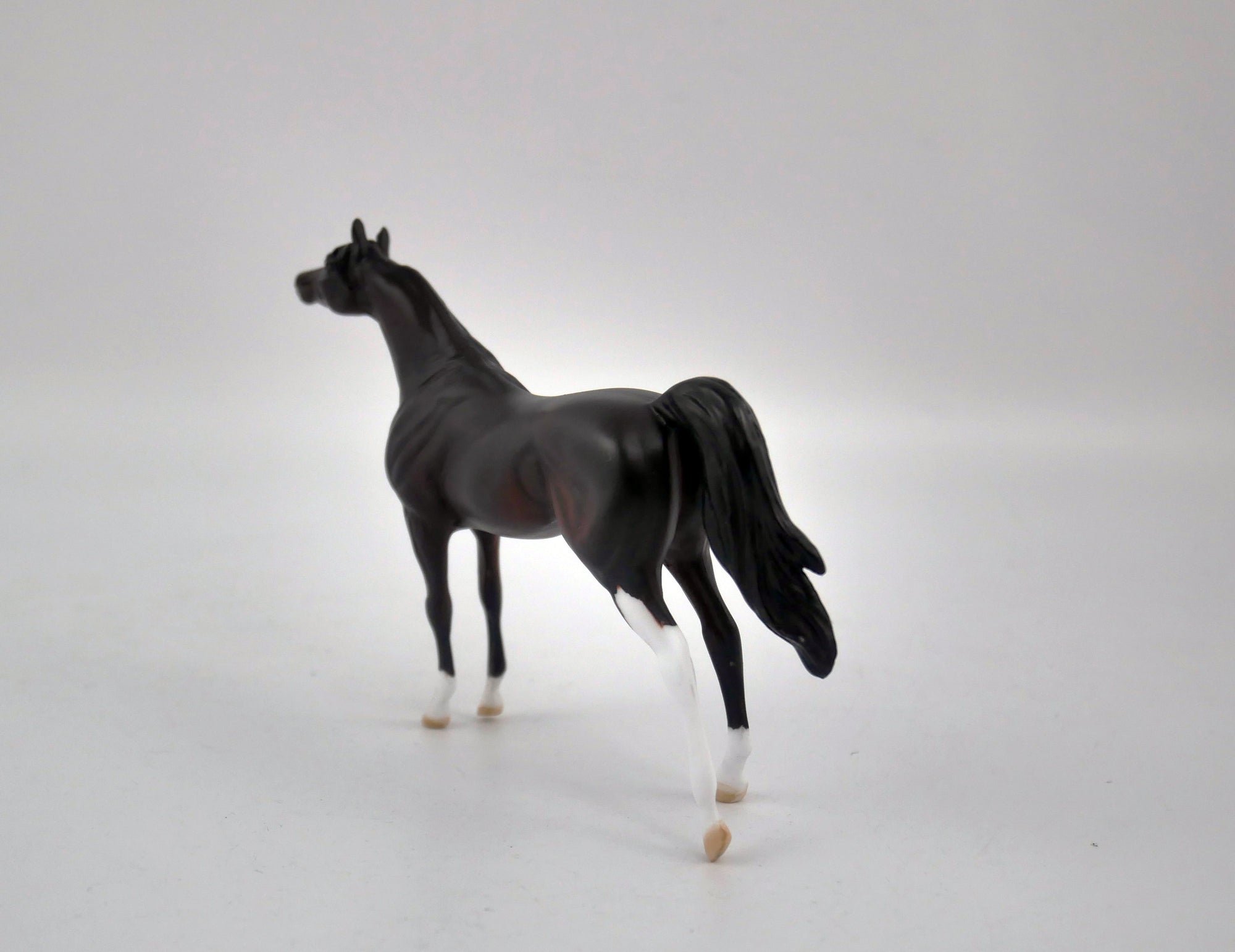Bitter-OOAK Arabian Chip By Kayla