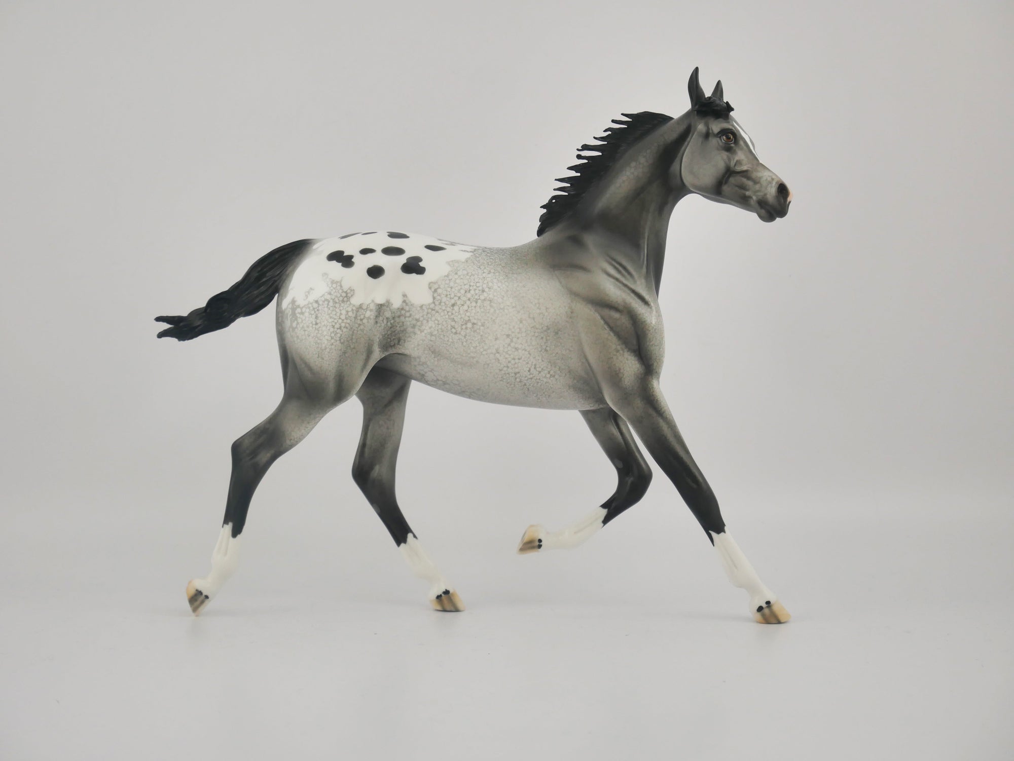 BLACK FOX-OOAK APPALOOSA YEARLING BY DAWN QUICK