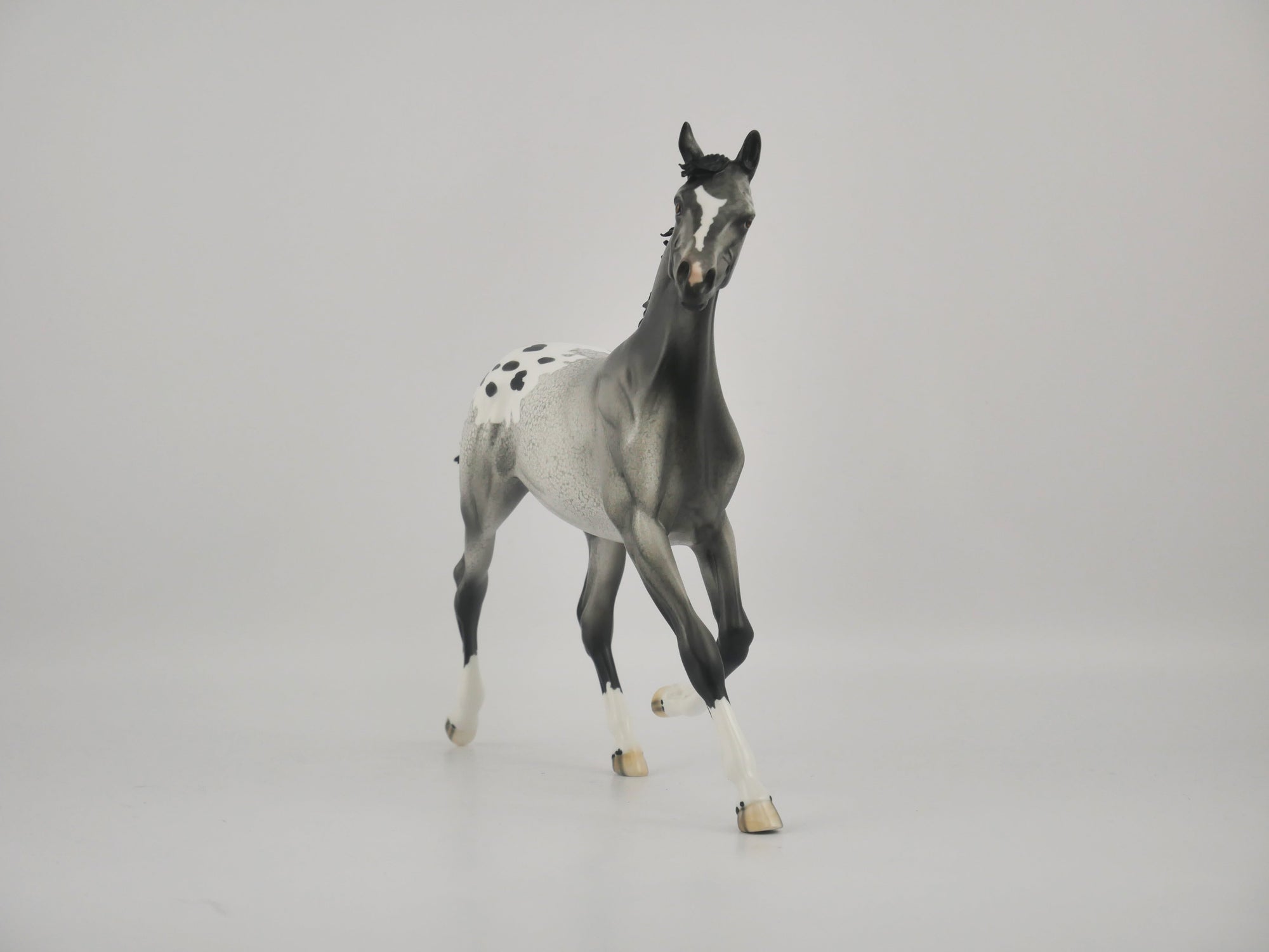 BLACK FOX-OOAK APPALOOSA YEARLING BY DAWN QUICK