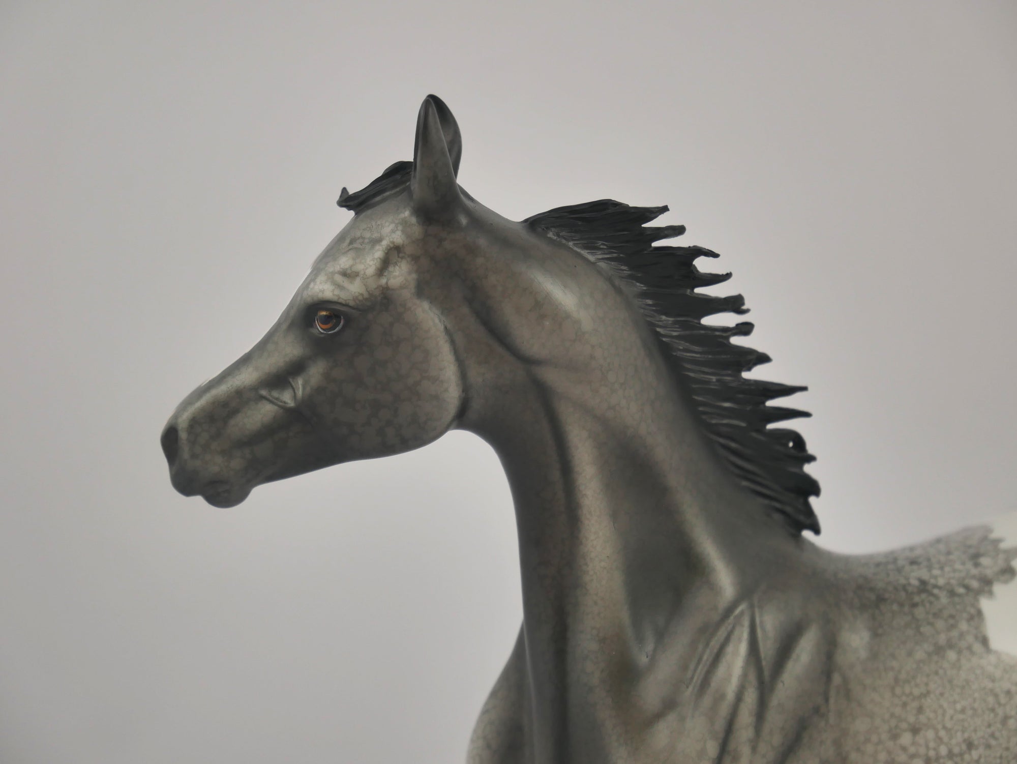 BLACK FOX-OOAK APPALOOSA YEARLING BY DAWN QUICK