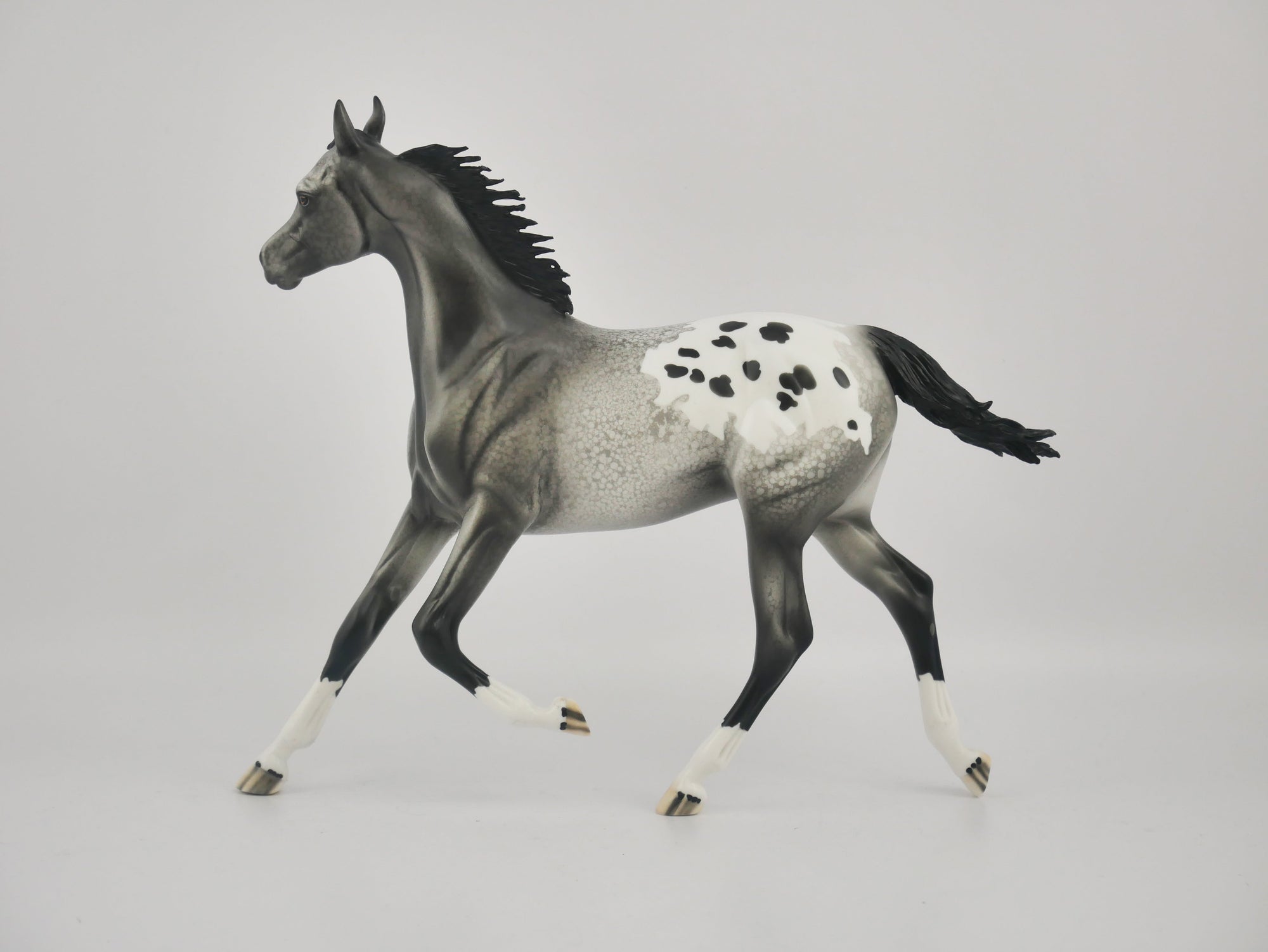 BLACK FOX-OOAK APPALOOSA YEARLING BY DAWN QUICK