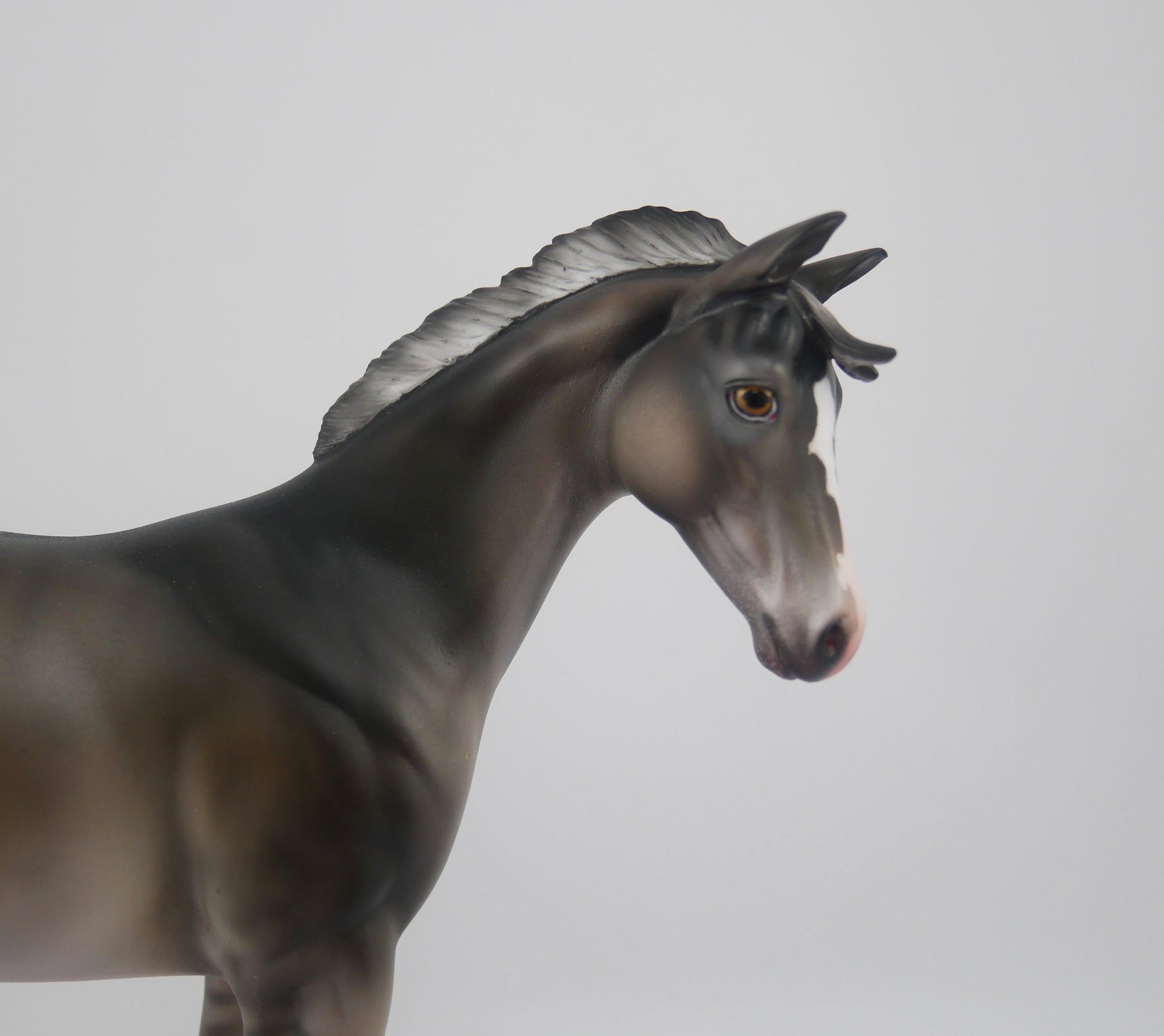 BLACK IRIS-LE-25 GRULLA APPALOOSA WEANLING BY JULIE KEIM