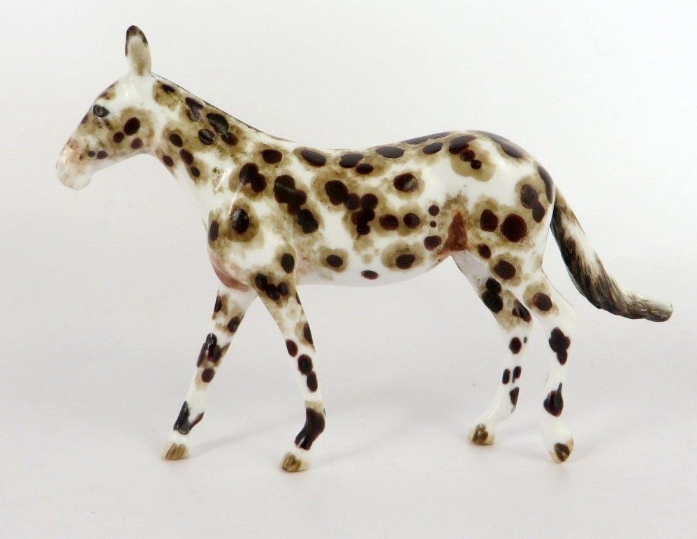 BLOWOUT - OOAK APPY MULE CHIP BY ANDREA THOMASON WHS19