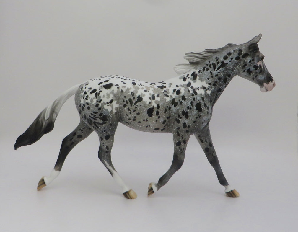 BLUE CLOUD-OOAK LOUD APPALOOSA PALOUSE BY DAWN QUICK 2/28/20