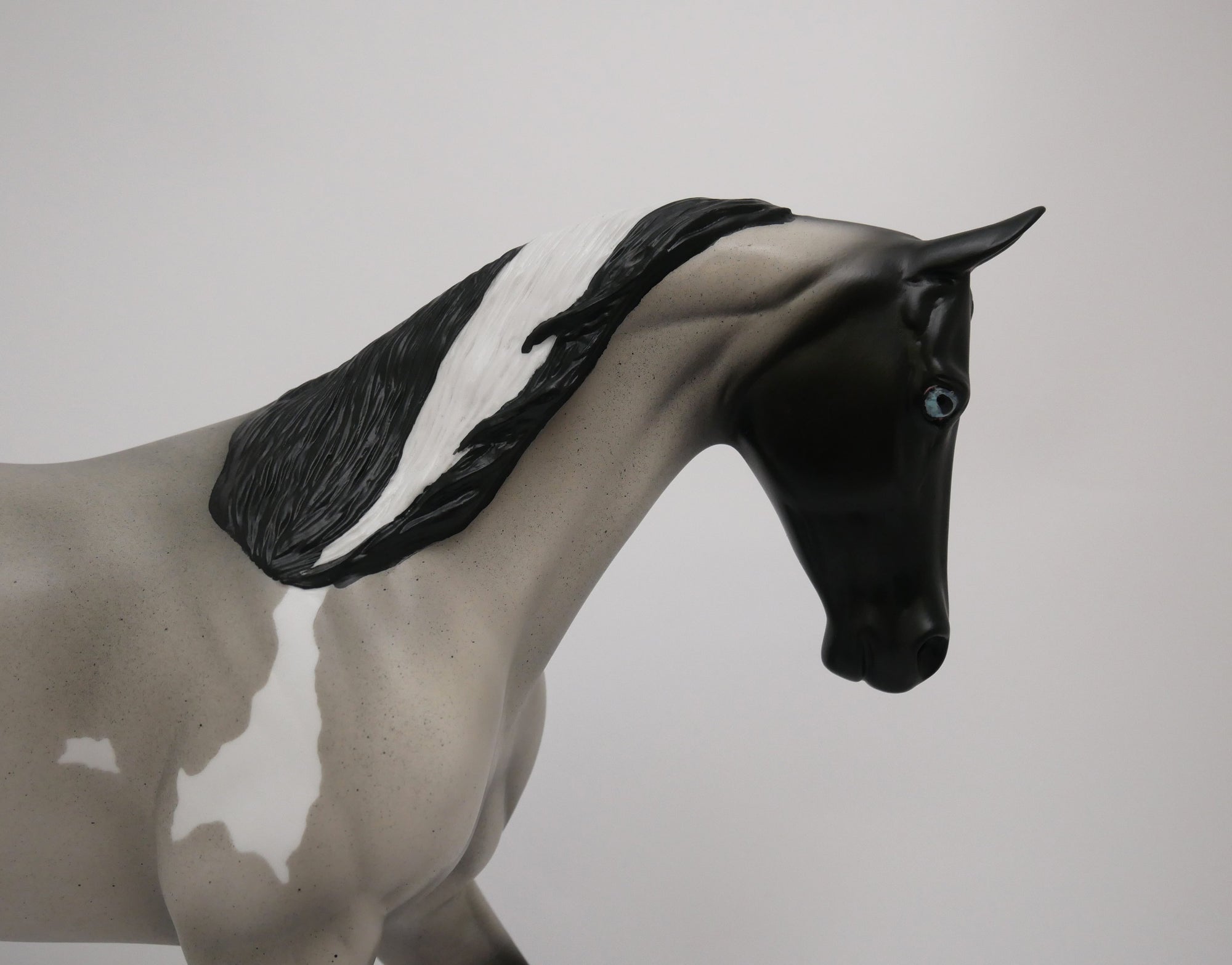 Blue Roan Thoroughbred By Audrey Dixon 6/19/20