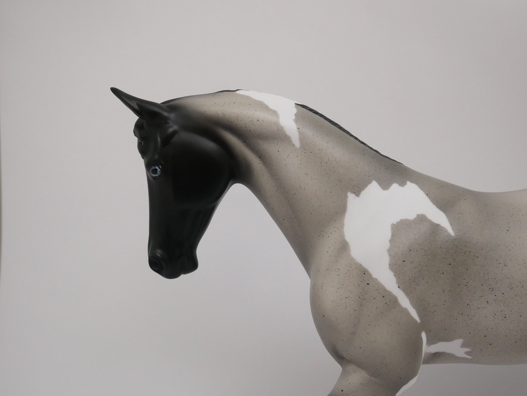 Blue Roan Thoroughbred By Audrey Dixon 6/19/20