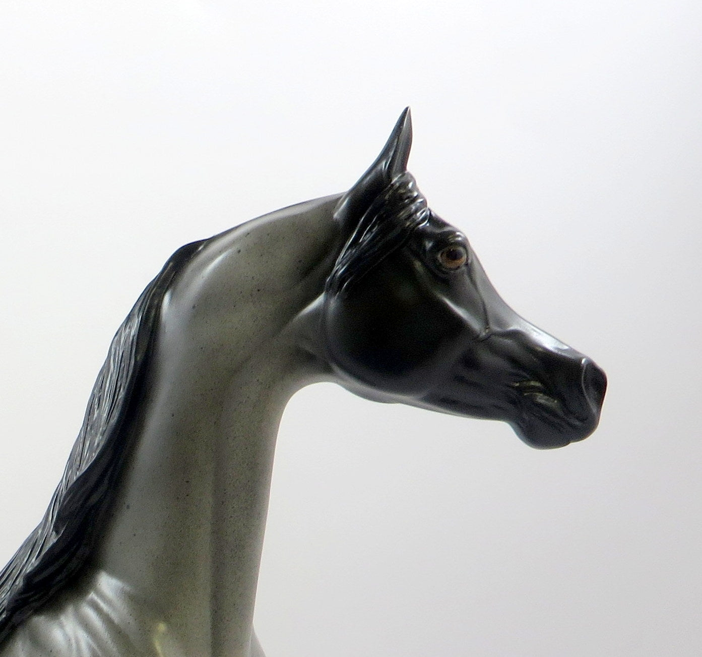 BLUE COAT-OOAK BLUE ROAN ARABIAN MODEL HORSE EQ 2019