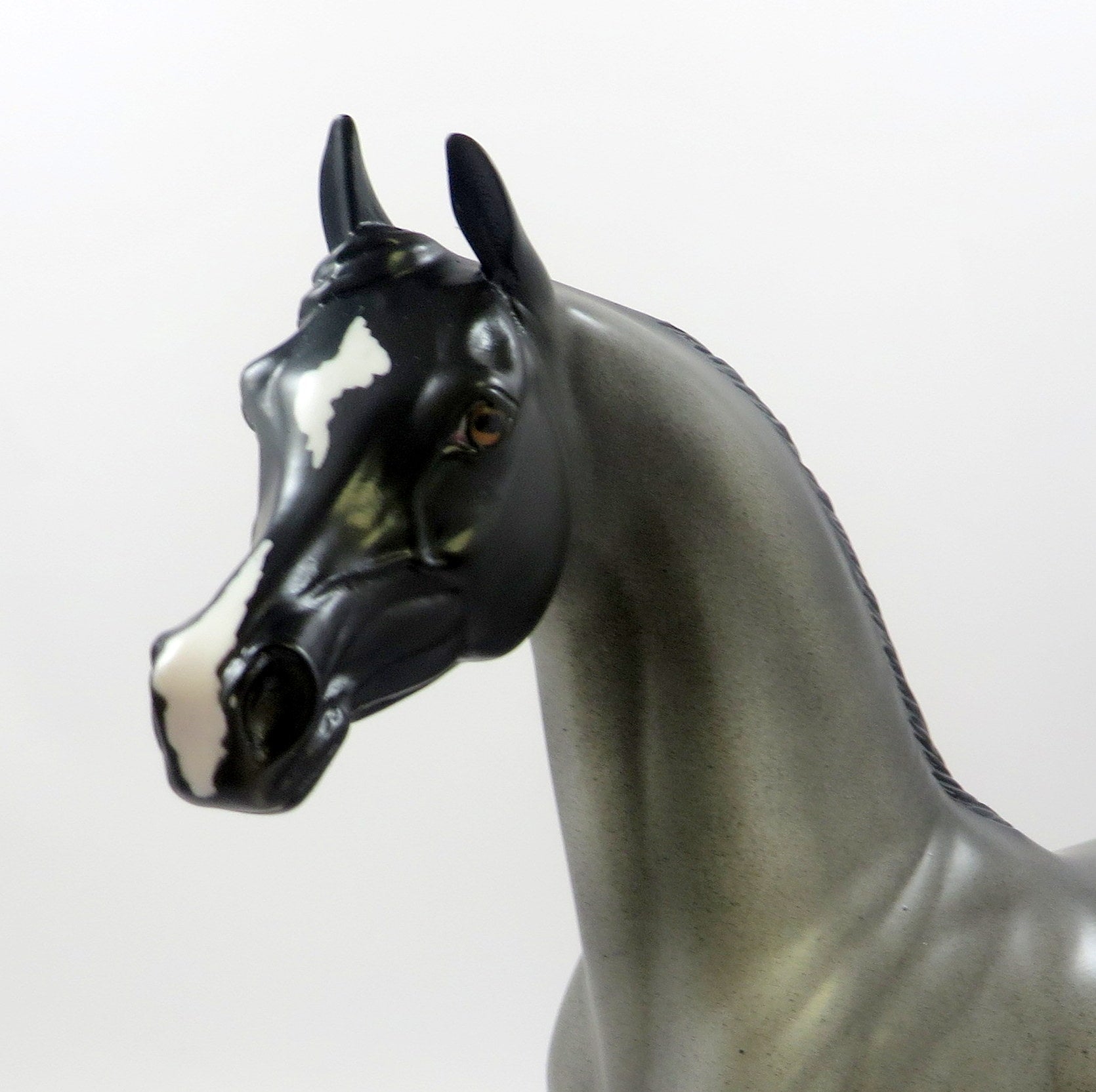 BLUE COAT-OOAK BLUE ROAN ARABIAN MODEL HORSE EQ 2019