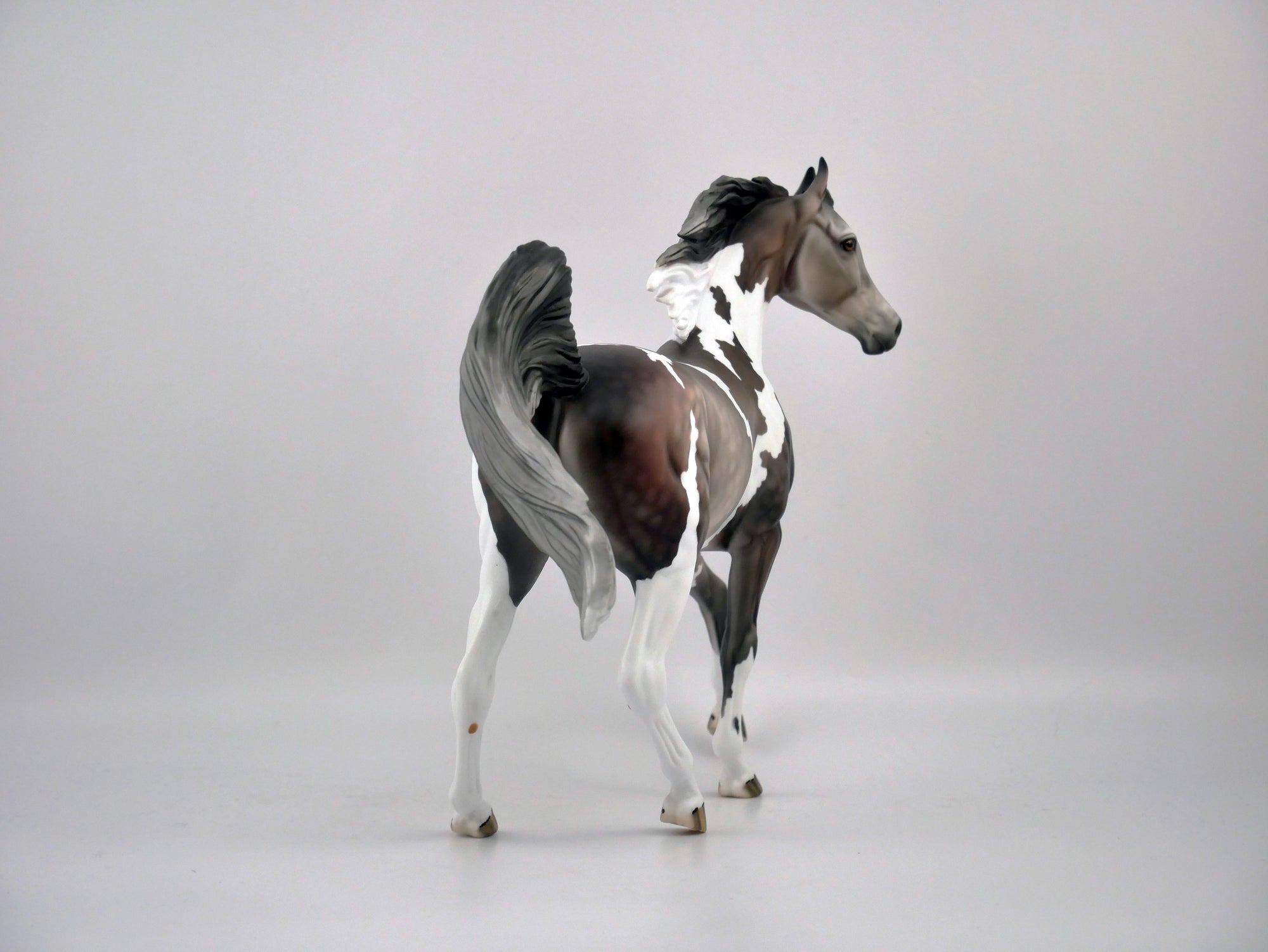 BOLE'-OOAK ROSE GREY PINTO ARABIAN MARE BY DAWN QUICK