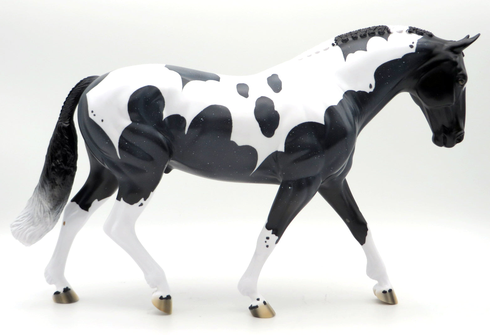 Boo - Blue Roan Tobiano Irish Draught - MM 2021