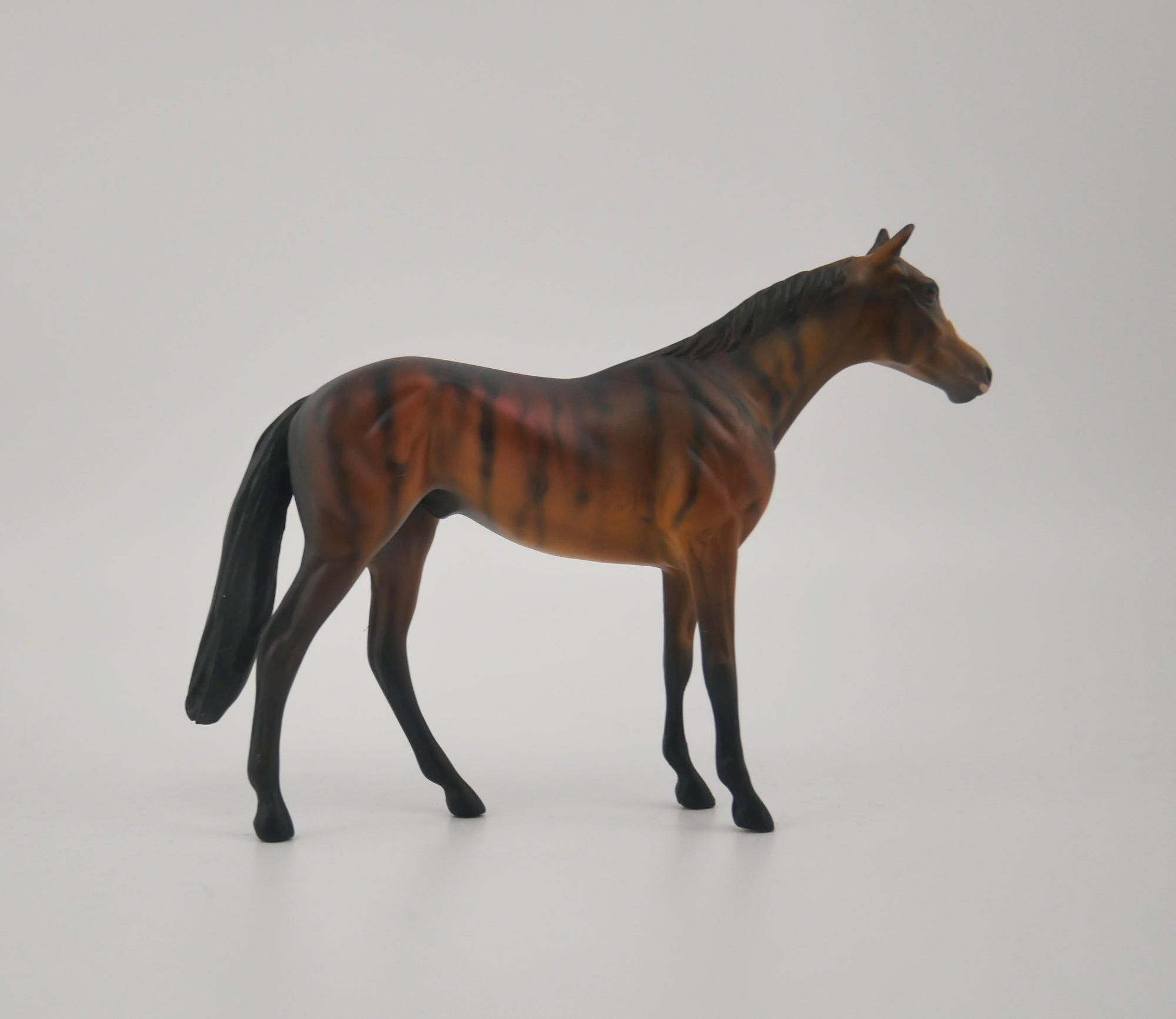 BREVITY-OOAK BRINDLE TB CHIP