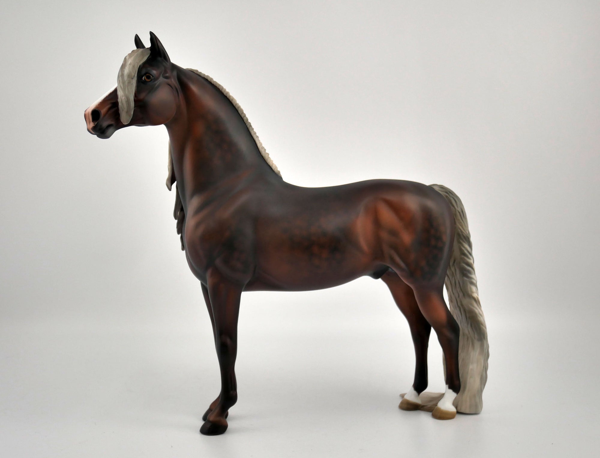 Brimstone Dapple Chestnut Morgan by Julie Keim MM 2020