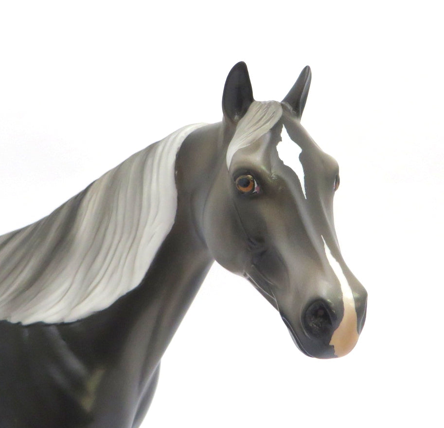 BUCK-A-BOO-OOAK STAR DAPPLE GREY ISH MODEL HORSE 2/28/20