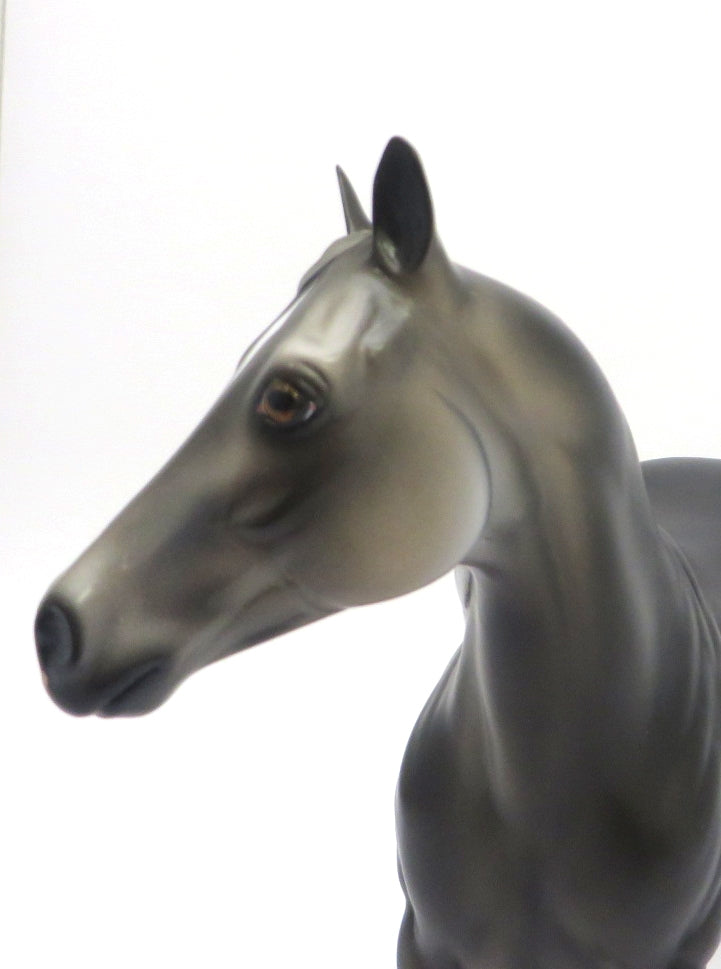 BUCK-A-BOO-OOAK STAR DAPPLE GREY ISH MODEL HORSE 2/28/20